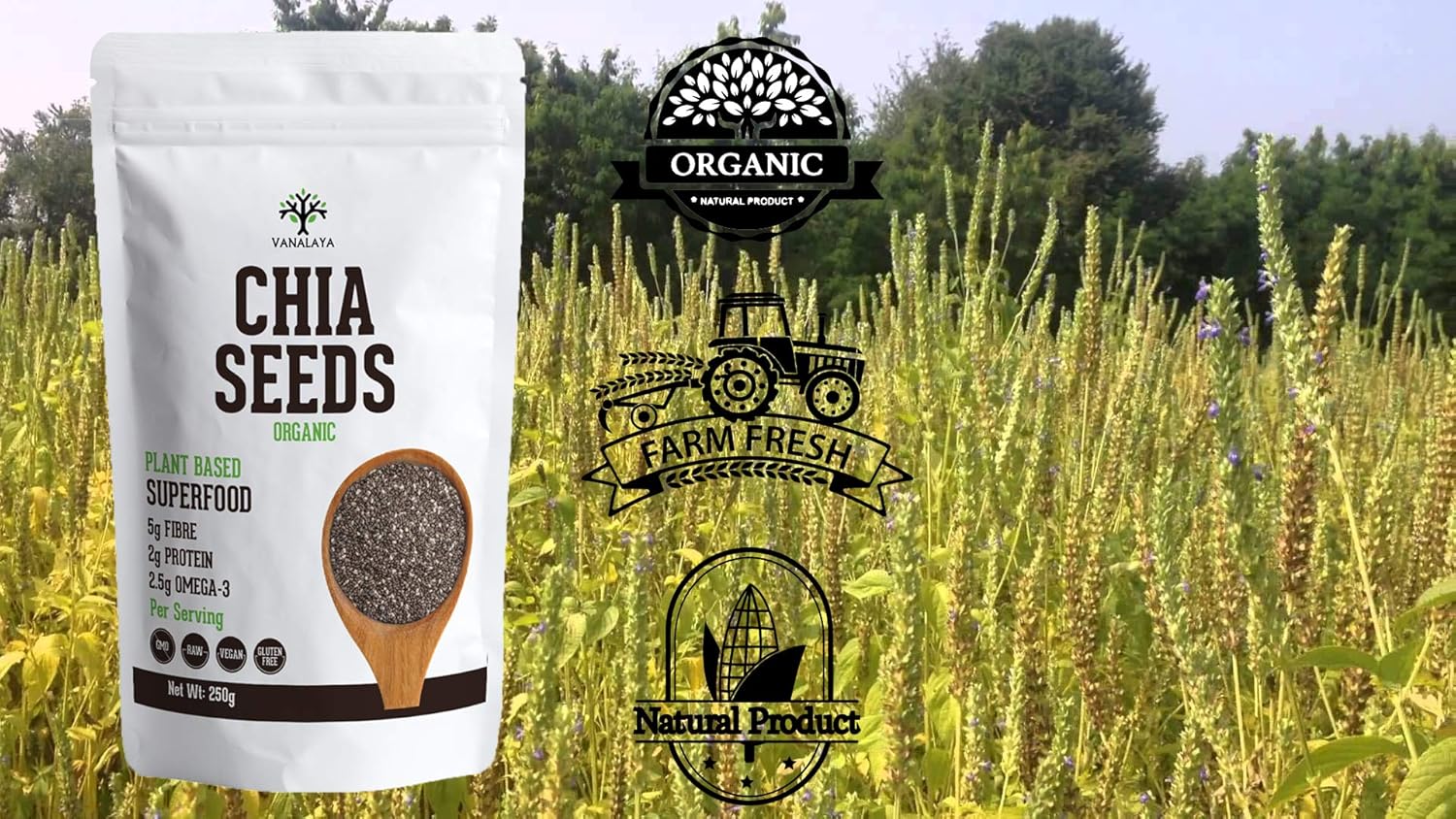 Vanalaya Raw Unroasted Chia Seeds for Eating with Omega 3 Protein and Fiber for Weight Loss Management -250g