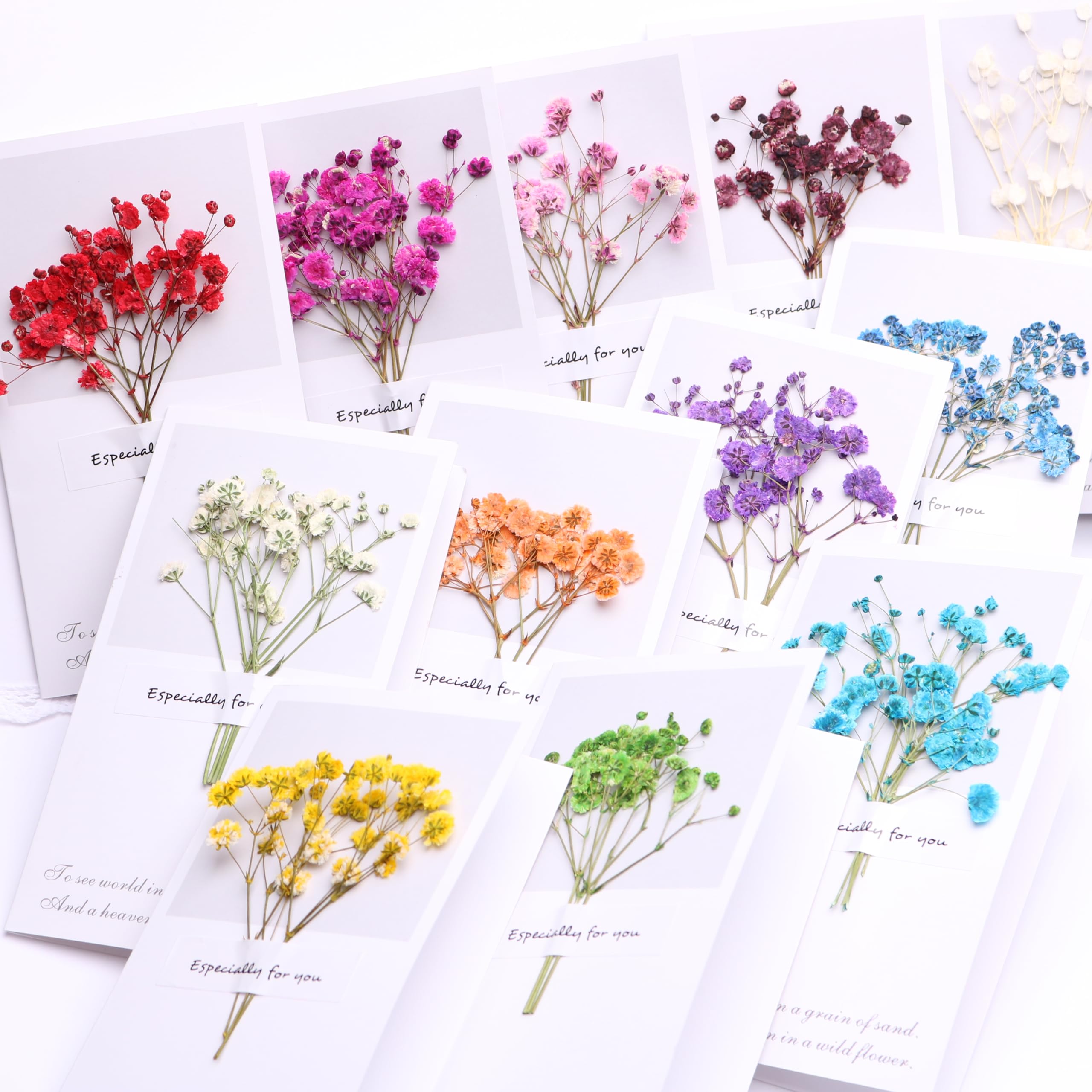 Amazon.com: Fuchsia Mini Gypsophila Greeting Card, Natural Baby's