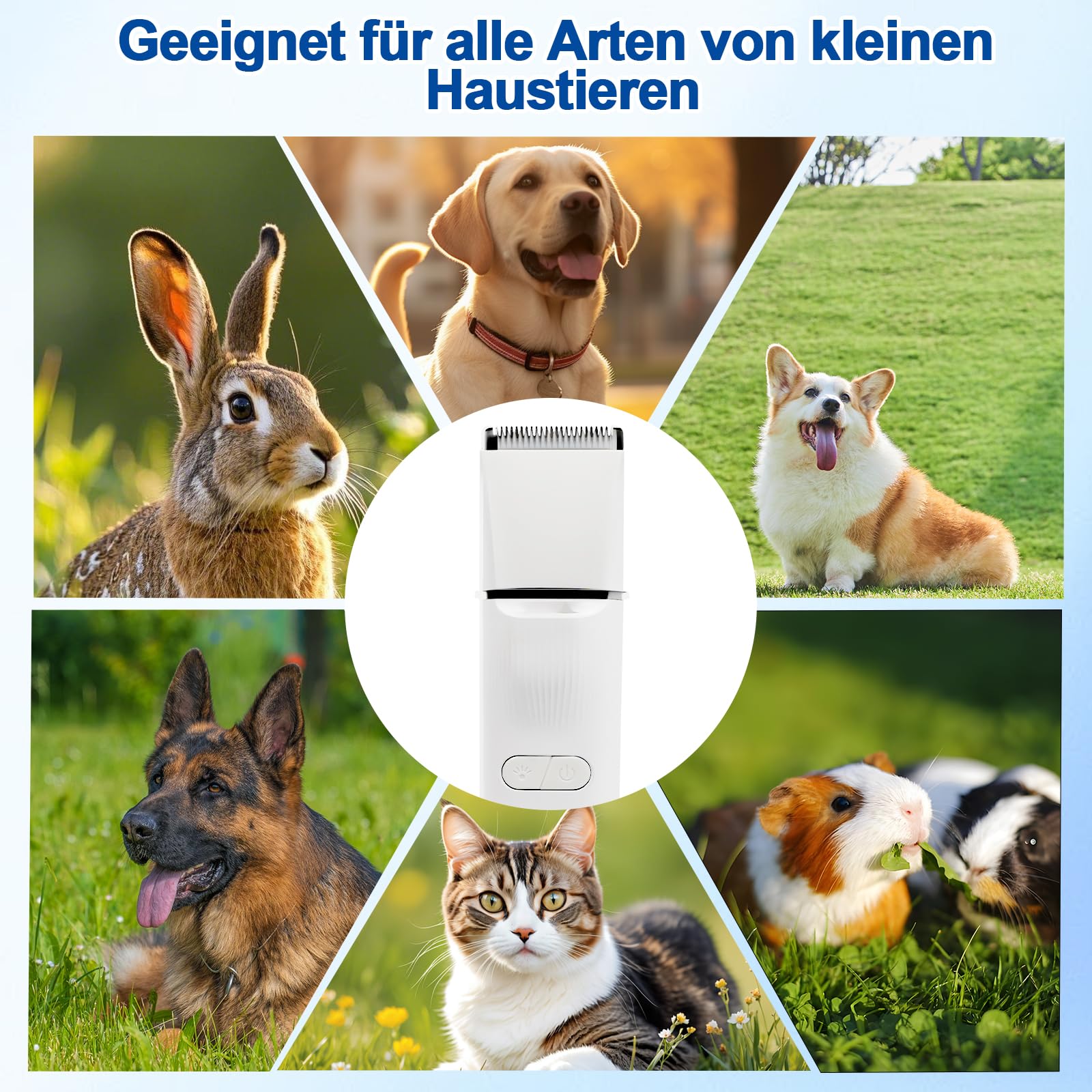 Leise Schermaschine Katze Set, 4 in 1 Haarschneidemaschine Mit LED-Licht, Profi Pfotentrimmer Für Hunde, Für Große Kleine Katzen Hunde, Für Pfoten, Augen, Ohren, Gesicht, Körpe (Weiße)