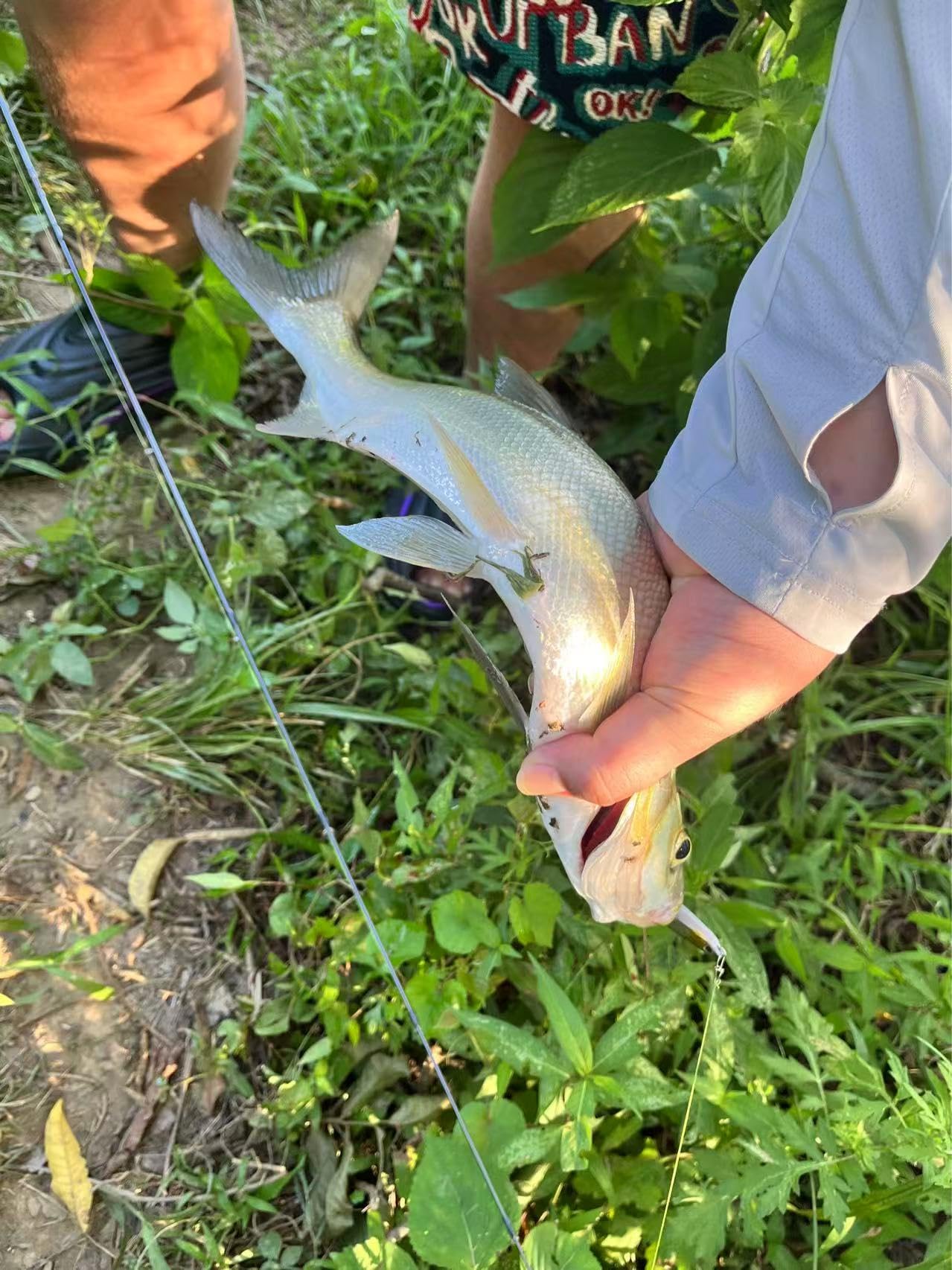 Caja grande de aparejos de pesca de 3 capas con aparejos incluidos, kit de 450 señuelos de pesca, contiene alicates, anzuelos, señuelos, pesos y accesorios, equipo de pesca de lubina de agua dulce