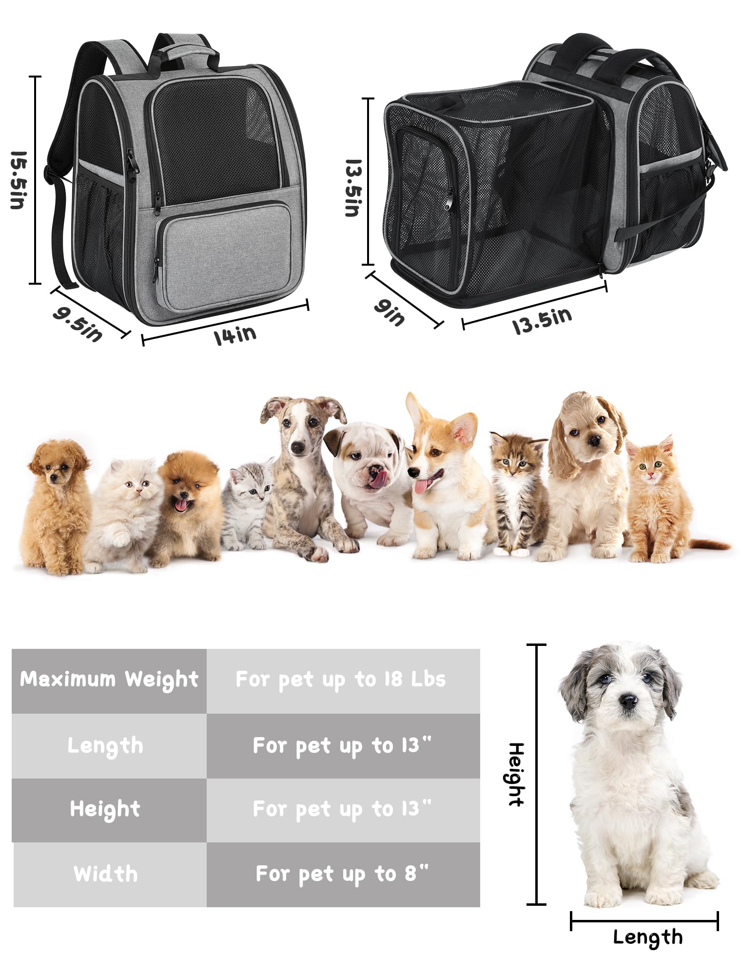 Transportadora Gato Mochila Transportadora Para Perros Y Gatos