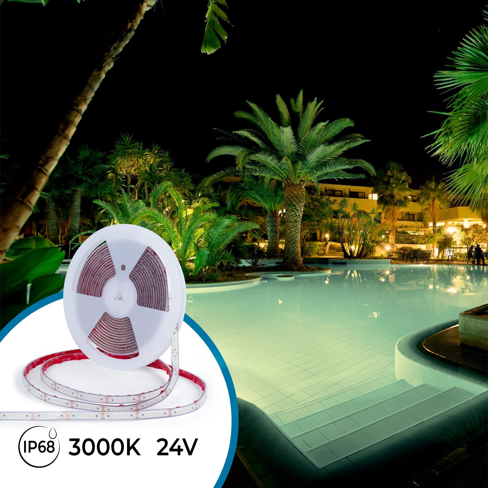 B·LED BARCELONA LED - Tira LED 24V DC sumergible - Monocolor - 9.6W/m - 12mm - IP68-10 metros - 120ch/m - Blanco Cálido