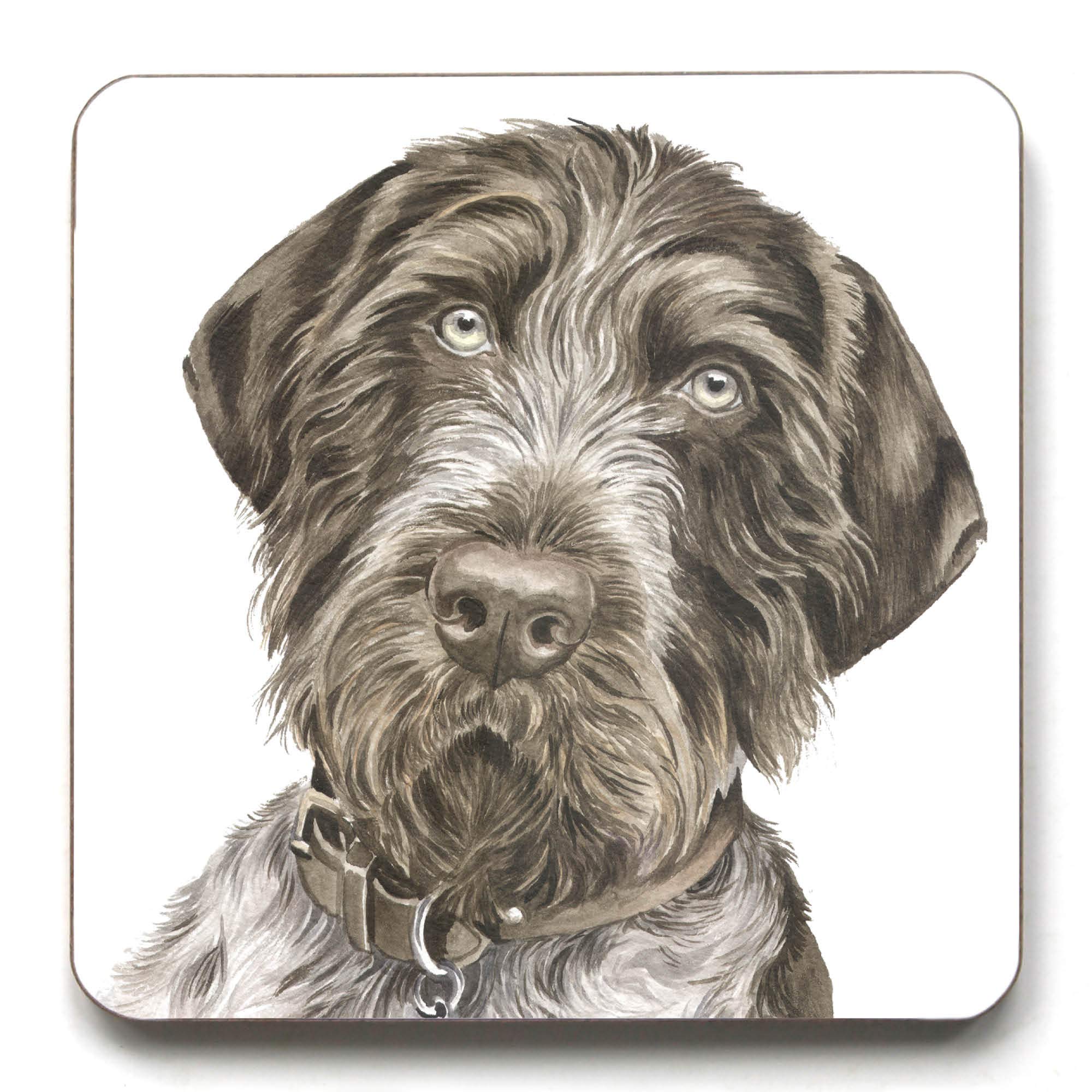German Wire-haired Pointer Coaster (CST-127)