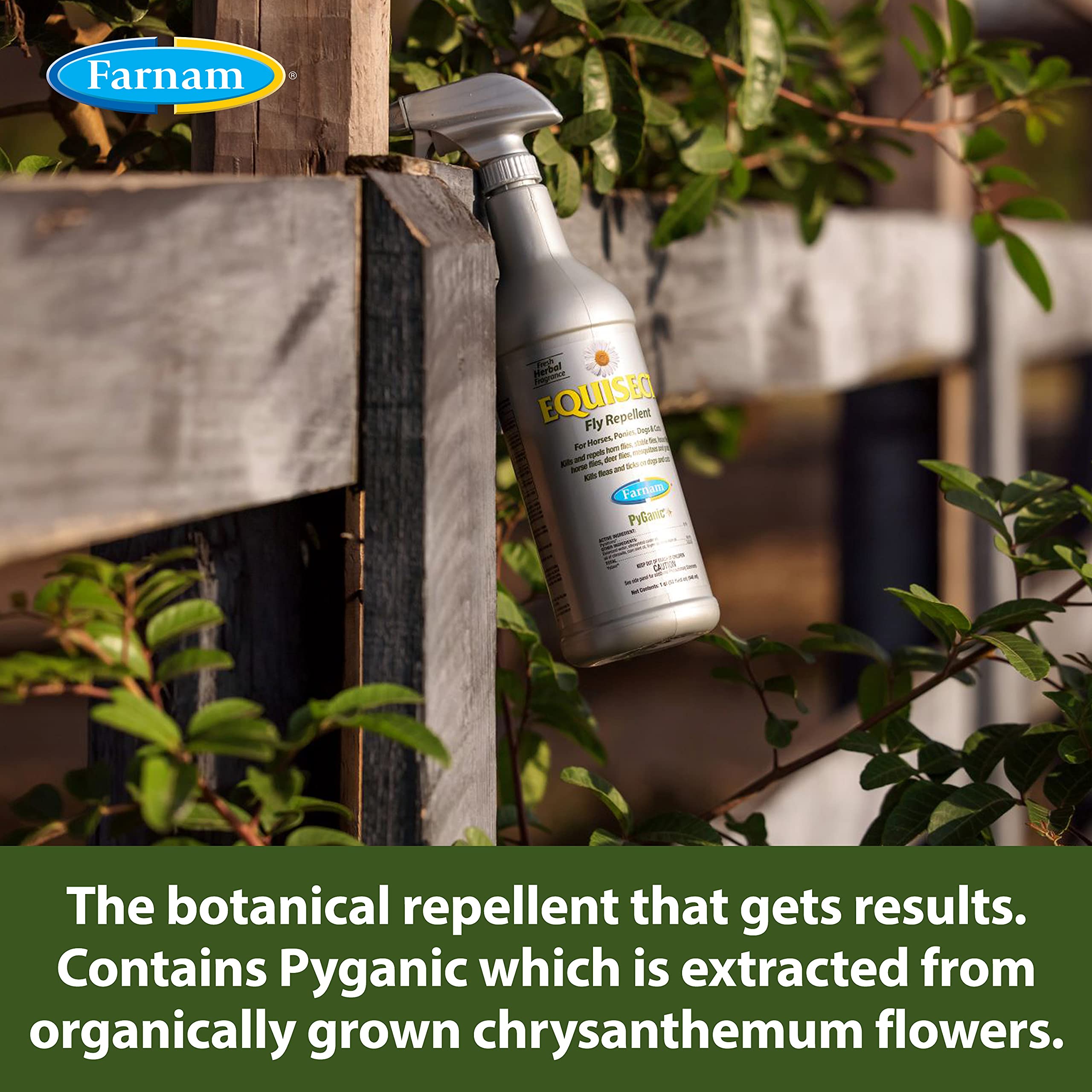 How To Keep Yellow Flies Off Dogs