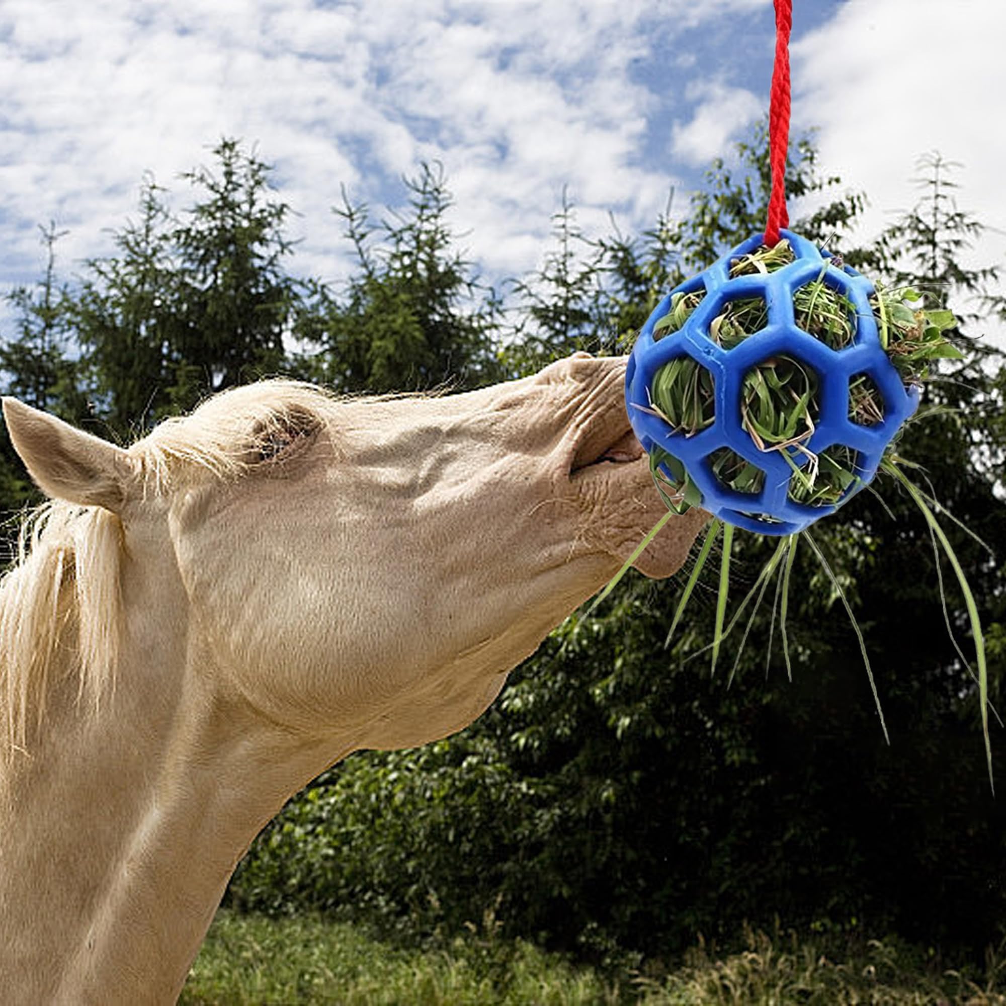QSLKI 3PCS Jolly Hay Ball Stall Toy for Horses Horse Treat Ball Hay Feeder Holder Hanging Slow Feeding Toy with Rope - Image 2