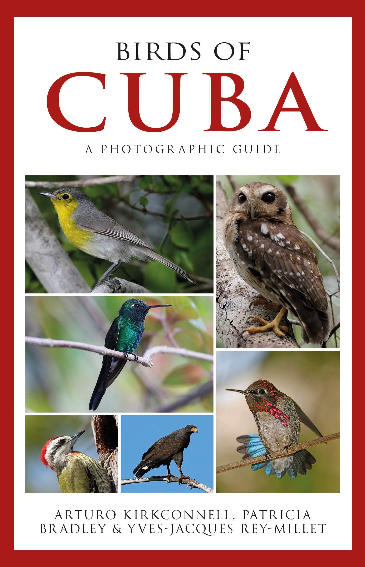 Photographic Guide to the Birds of Cuba by Arturo Kirkconnell PAPERBACK