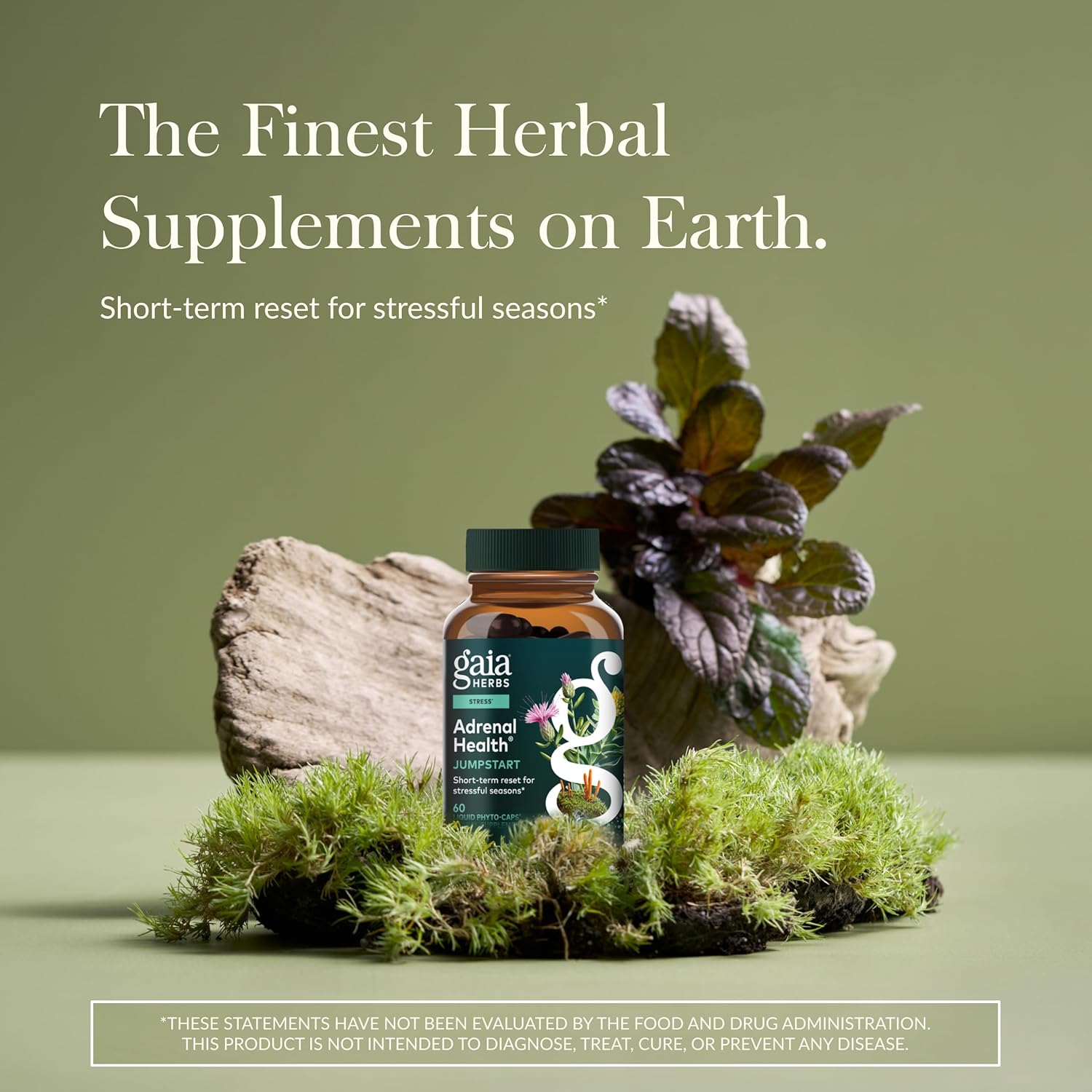 Gaia Herbs Adrenal Health Jumpstart - Helps Sustain Healthy Energy & Stress Levels* - with Cordyceps, Schisandra, Rhodiola & Licorice - 60 Vegan Liquid Phyto-Capsules (30 Servings)