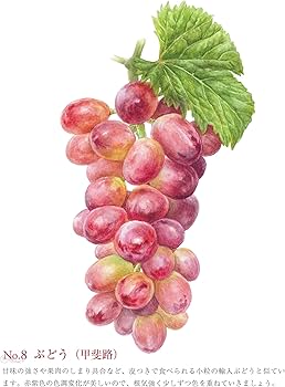 81Hh4v5c6iL._AC_UF350,