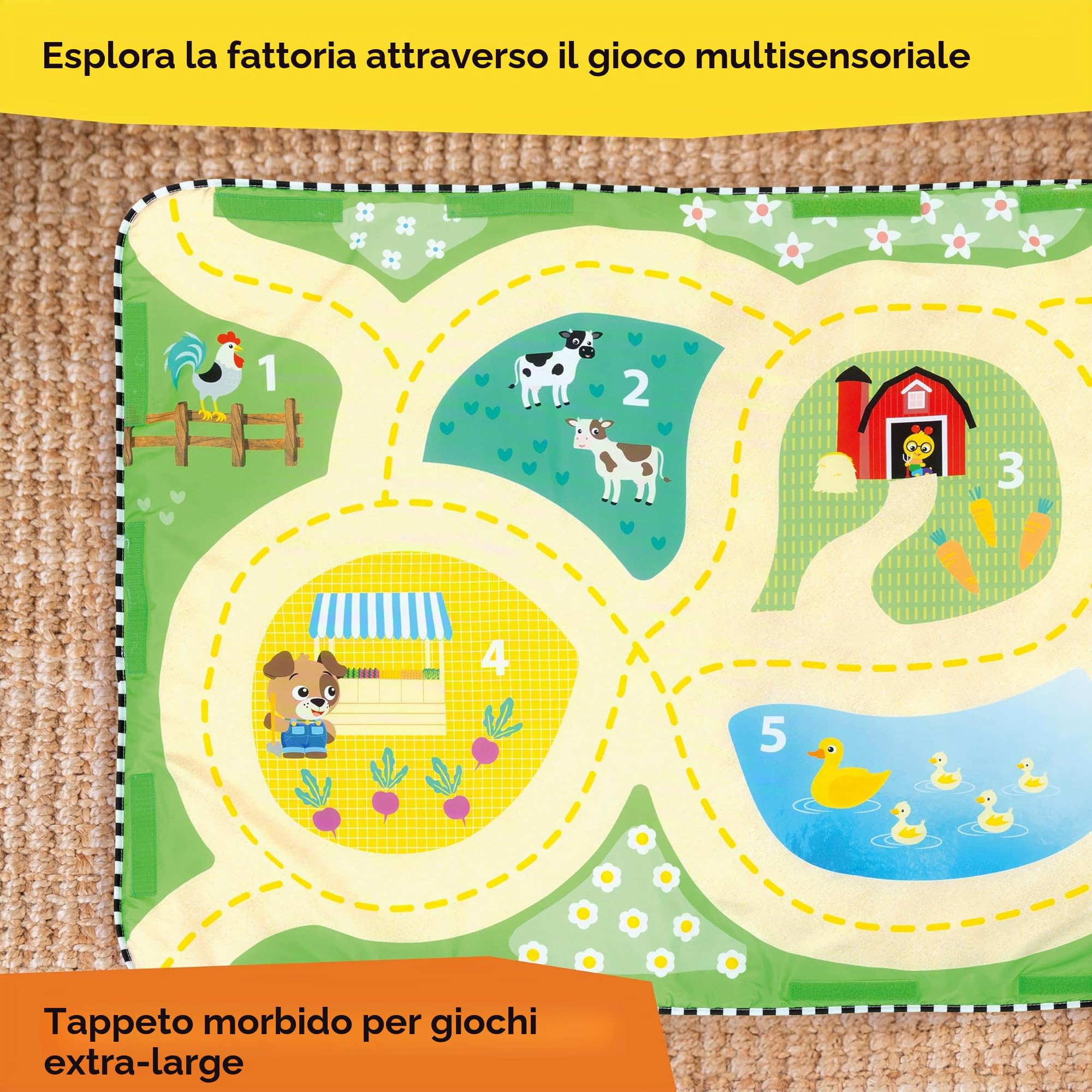 Baby Einstein, Palestrina multiattività Musicale Che cresce con Il Bambino Busy Barnyard Farm Explorers, con selezionatore di Forme, 0 Mesi-4 Anni