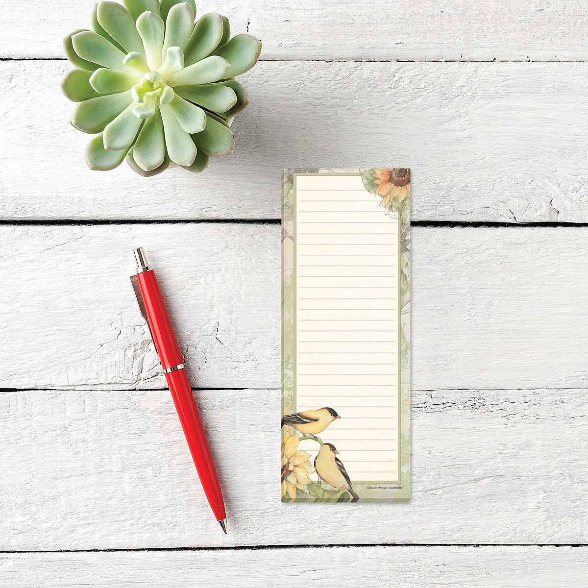Current Seasonal Birds Magnetic Notepad Set – Set of 12 Mini Memo Pads, 12 Designs, 30-Sheet Pads, 2½ x 6½ Inches, Shopping List, To-Do Notes, Printed in The USA