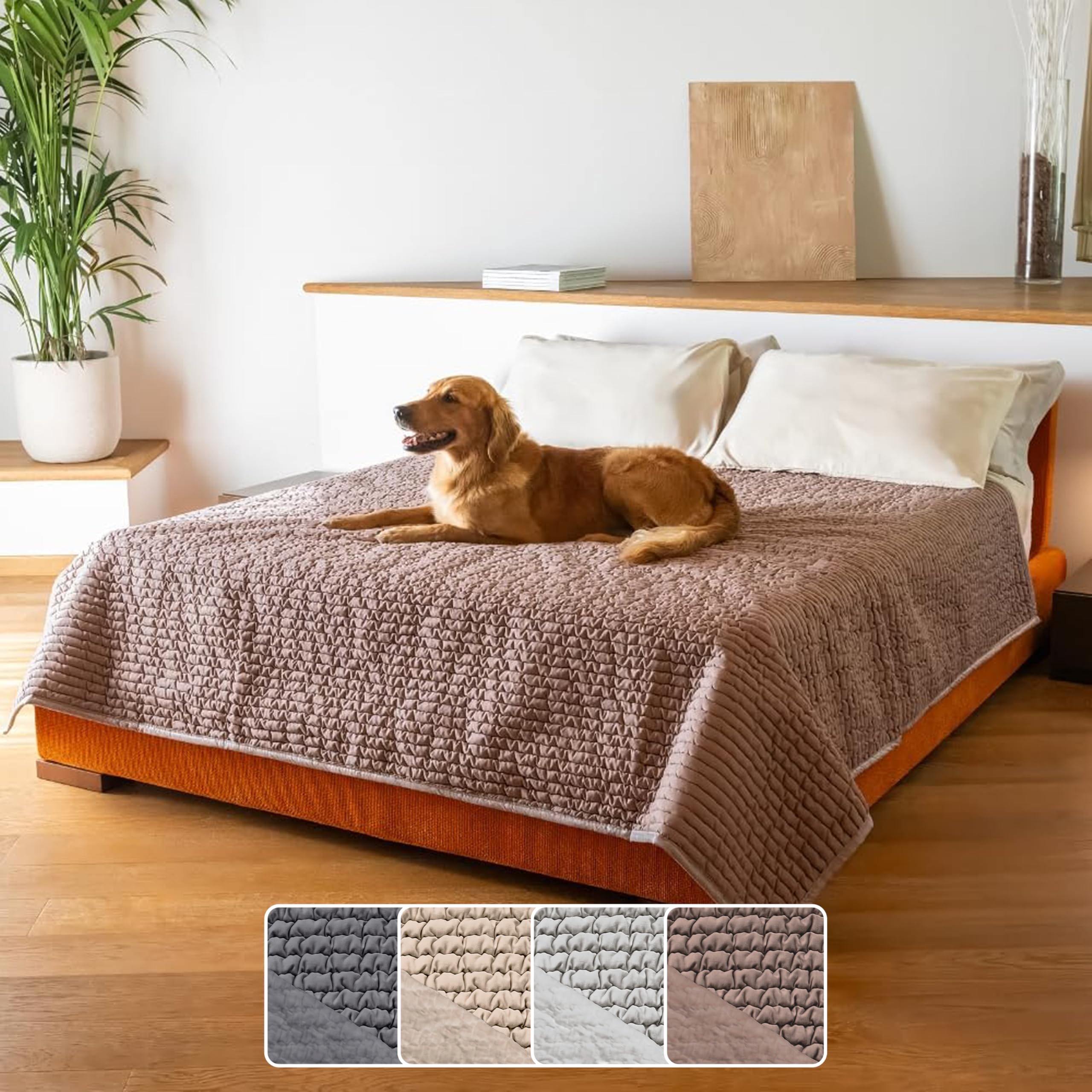 Mamma Mia Covers PAULATO BY GA.I.CO. Waterproof Blanket for Bed – King Absorbent Couch Cover – Machine Washable Stain-Resistant Pad for Large Sofa – Pets Cat & Dog Friendly Furniture Protector - Soft Taupe