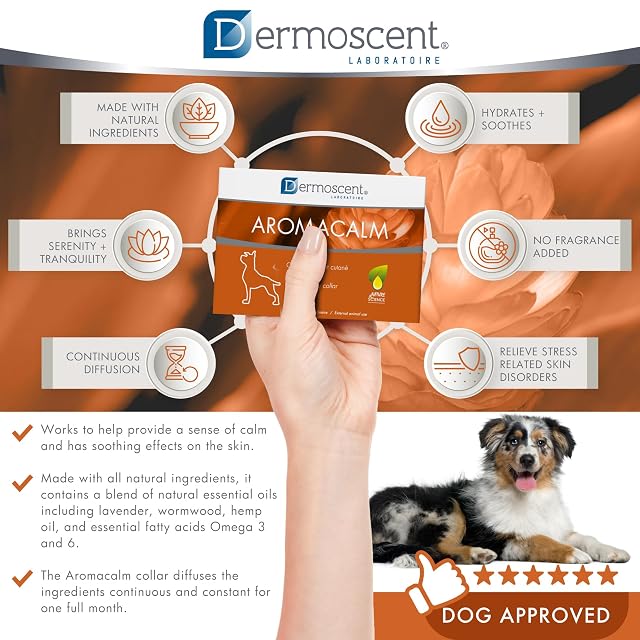 Foto 4 de 8 de Dermoscent Aromacalm Collar Calmante Perros Piel Estrés Aromaterapia 60 cm