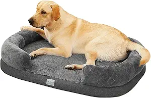 The 10 Best Couches For Dogs of 2025 9 81HhSa2mLZL. AC SX300 SY300 QL70 FMwebp