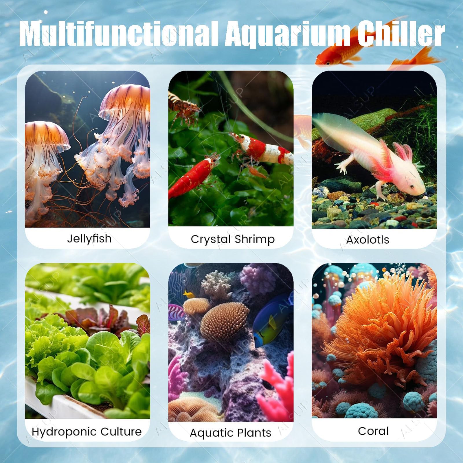 Refroidisseur d'aquarium, Refroidisseur d'eau 1/3 CV, Fish Tank Chiller 110V | Chauffage/Refroidissement Rapide Thermostat D'aquarium, Pour Poissons Crevettes Coraux 2in1AquariumHeaters/Chiller 300L