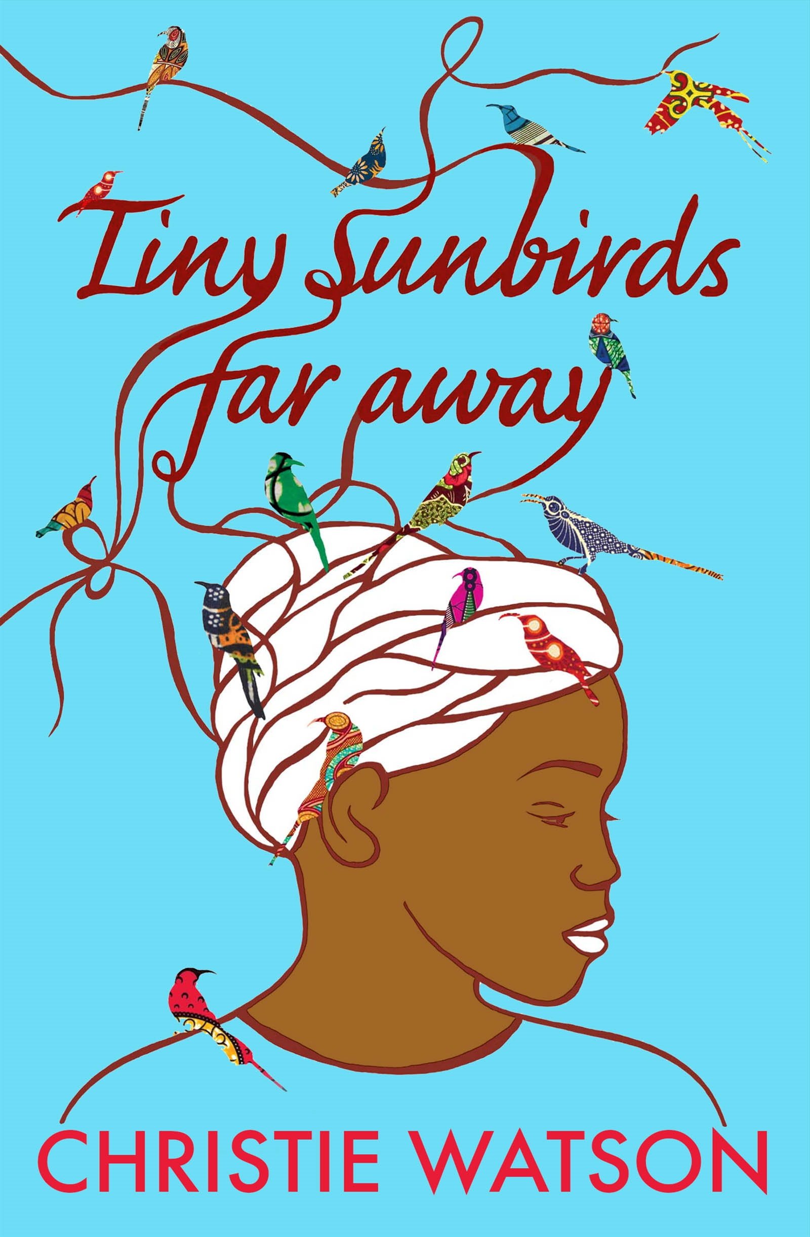 Tiny Sunbirds Far Away: From the author of The Courage to Care and The Language of Kindness, winner of Costa First Novel Award