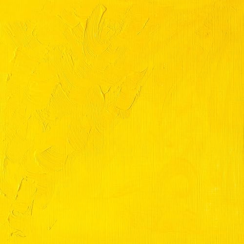 Vista 181 de Winsor & Newton Tubos de pintura Winton de aceite Azul Cerúleo