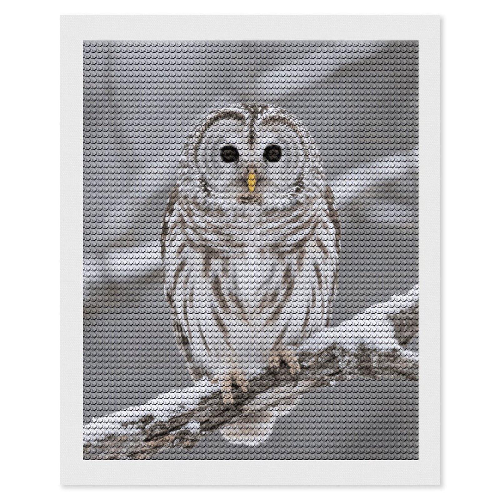 FodPand Curious Barred Owl Closeup 5D Diamond Painting Kits for Adults Beginners Full Drill Round Diamond Dots Pictures Gem Art Supplies for Home Wall Room Decoration DIY Craft Set Gift 16x20