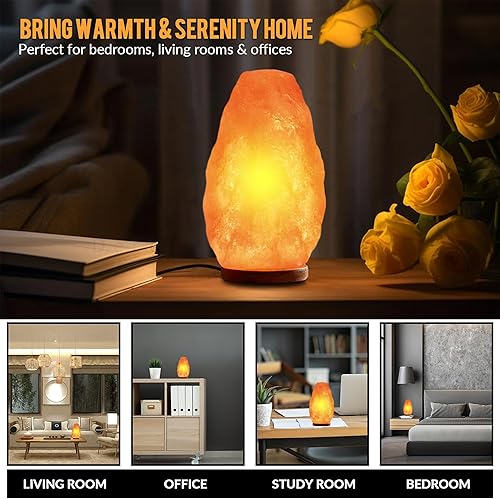 Miniatura 6 de Lámpara de sal rosa natural del Himalaya, lámpara de sal de cristal luz nocturna con interruptor de intensidad de control de brillo, base de madera