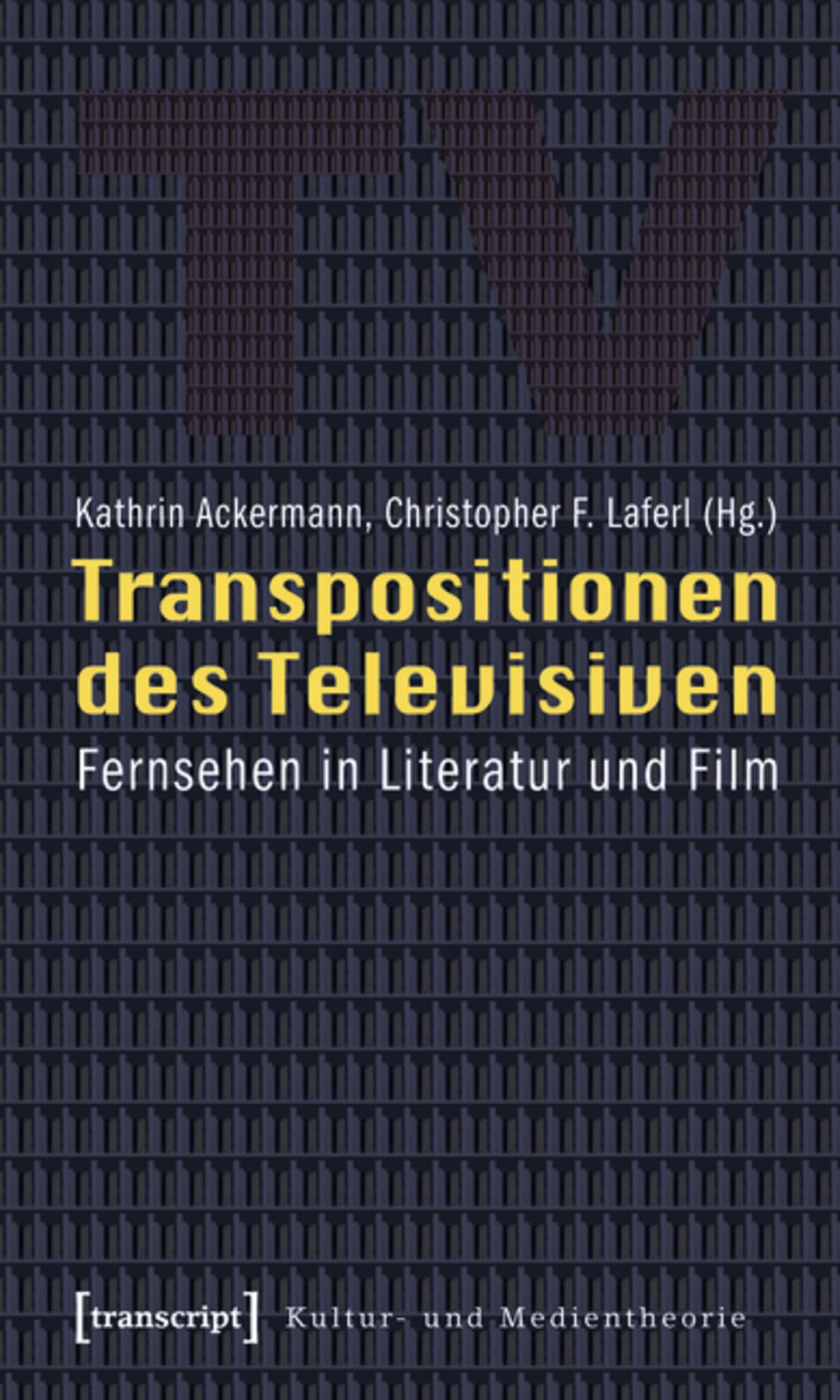 Télévision dans la littérature analyse intermédiale Kultur- und Medientheorie