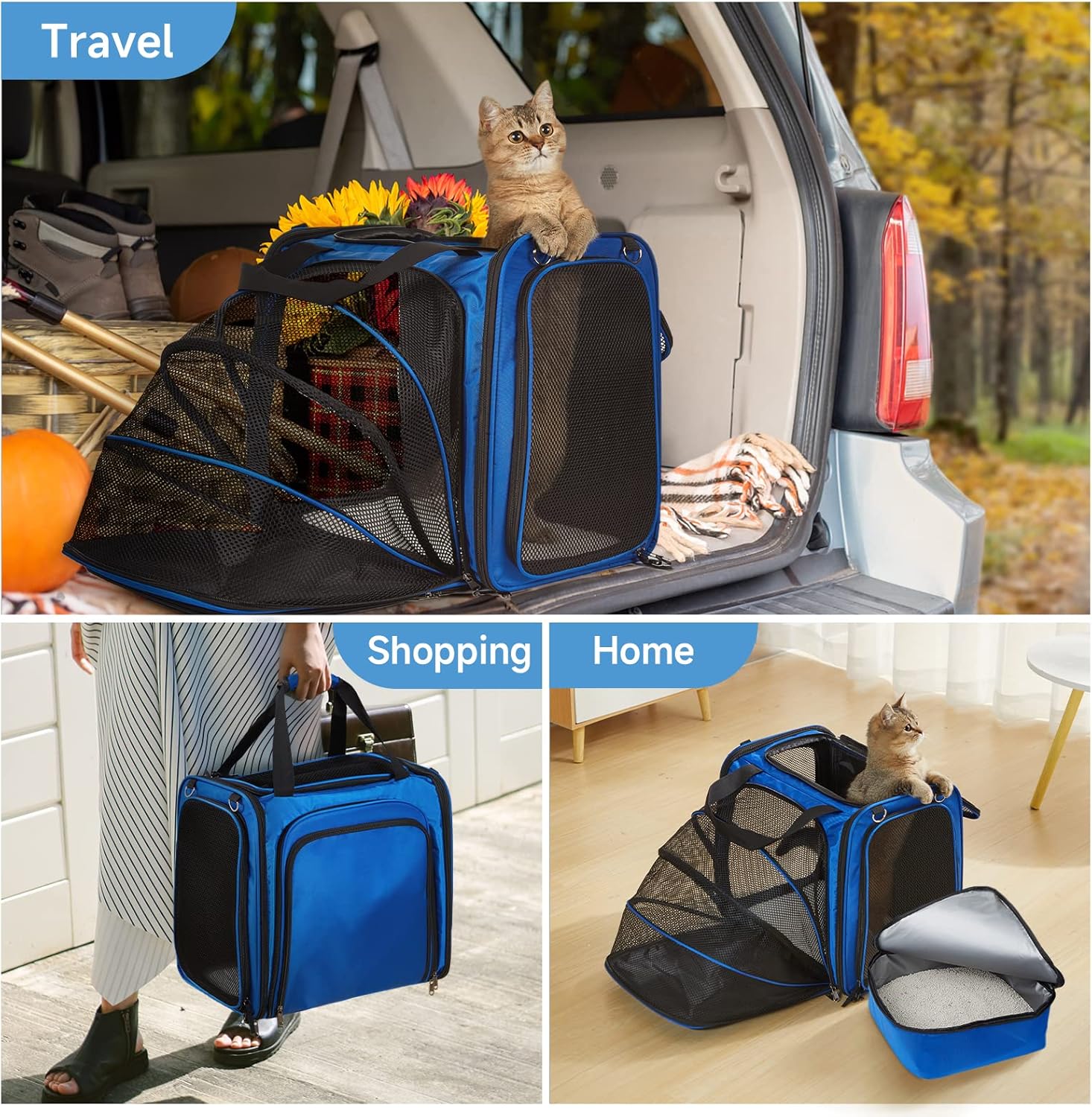 Travel Smart: The Ultimate Large Cat Carrier Review!