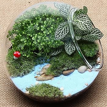 ガラス器 水槽 ガラス鉢 植木鉢 観葉植物 インテリア テラリウム 箱庭 金魚鉢 ガラス製 天然木 丸型 水槽 メダカ鉢 透明 クリア 丸 鉢