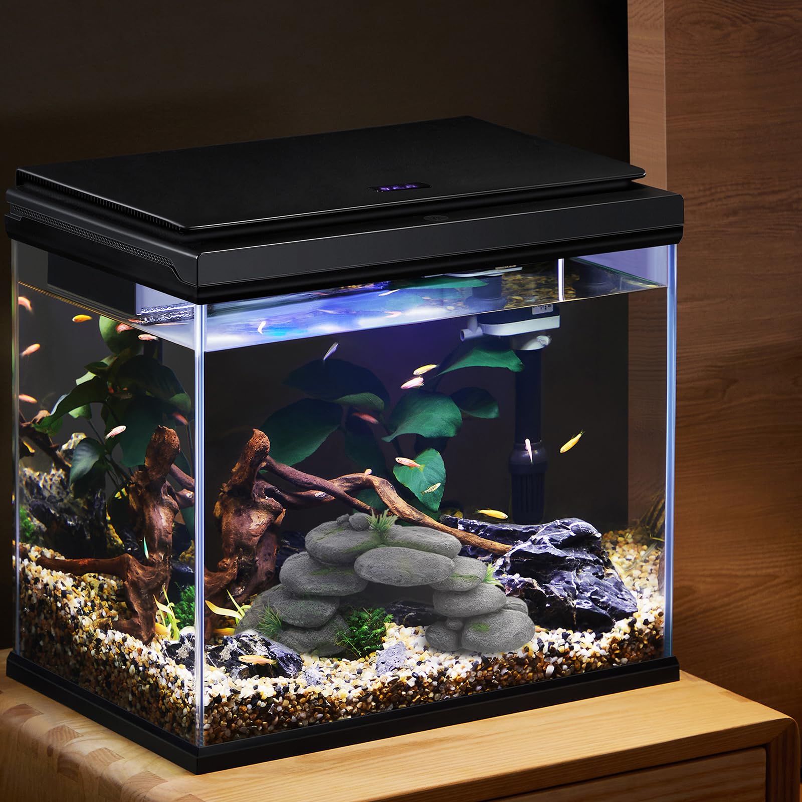 Acquario, grotta per acquario, pietre per tartarughe, accessori in resina, terrario, decorazione rettile, nascondiglio per acquario, decorazione per tartarughe, Axolotl, gamberetti