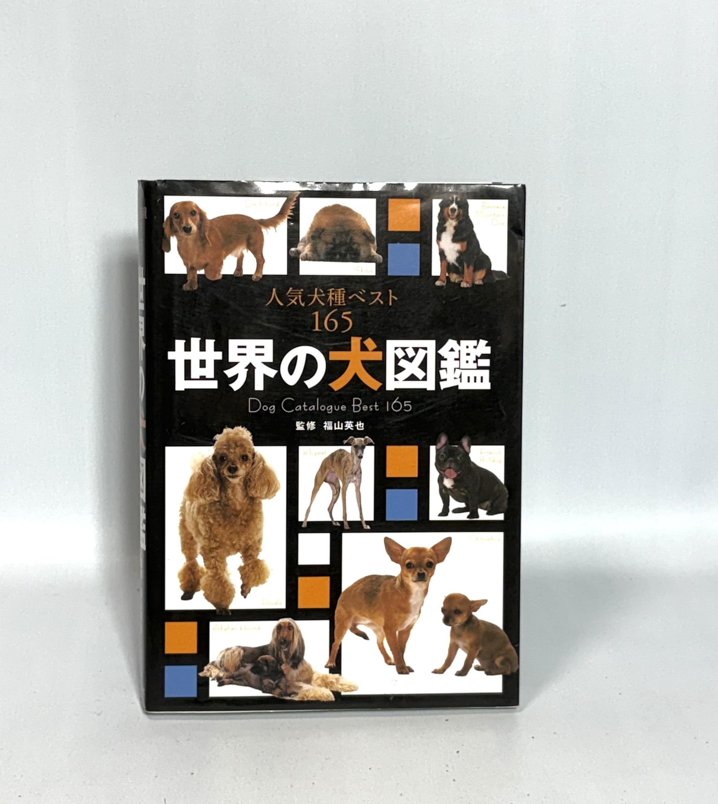 世界の犬図鑑 人気犬種ベスト165 | 福山 英也 |本 | 通販 | Amazon