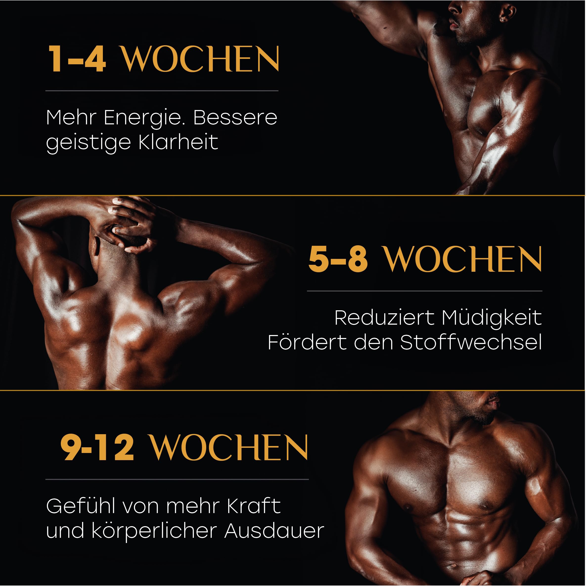 Altai Shilajit-Harz - 50g Hochdosiertes Reines Shilajit, 87+ Mineralien, Fulvinsäure - Schwermetallgeprüft & Kaltwassergefiltert - Natürlich - Für mehr Balance und Vitalität - 4 hat