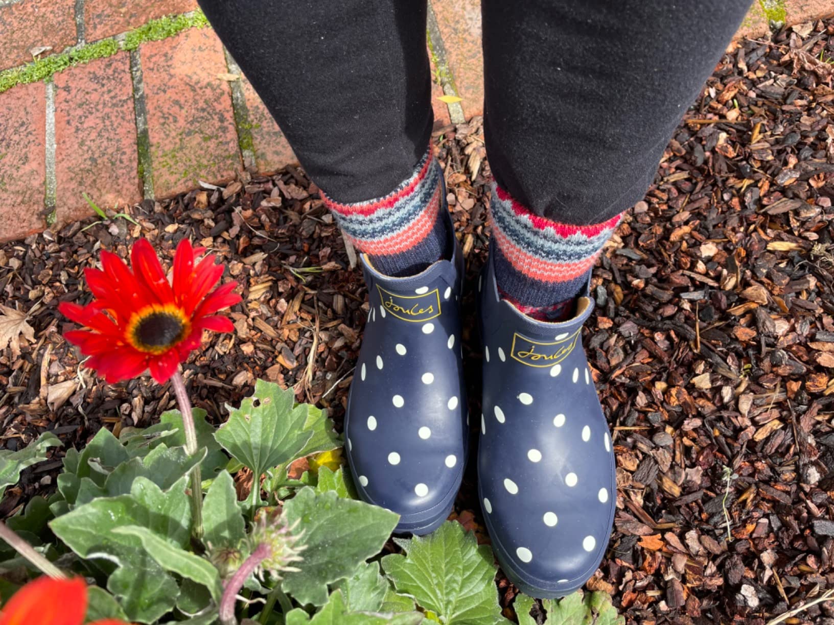 10/mo Finance Joules Women's Wellibob Rain Boot Buy Now, Pay Later