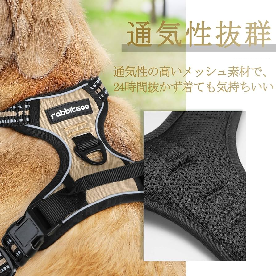 ❤️首抜け防止首かしげ加工ボディ❤️STAY 価格❣️終了❣️➡︎未定❣️ Amazon | Aimintoの犬用カラーは軽量でアルミニウム製で、高級