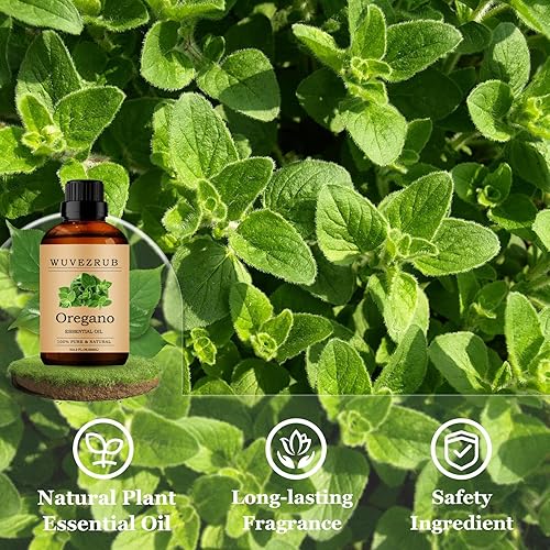Miniatura 3 de Aceites esenciales de orégano de 2.0 fl oz, aceite esencial de orégano puro para difusor de aromaterapia, 2 onzas líquidas