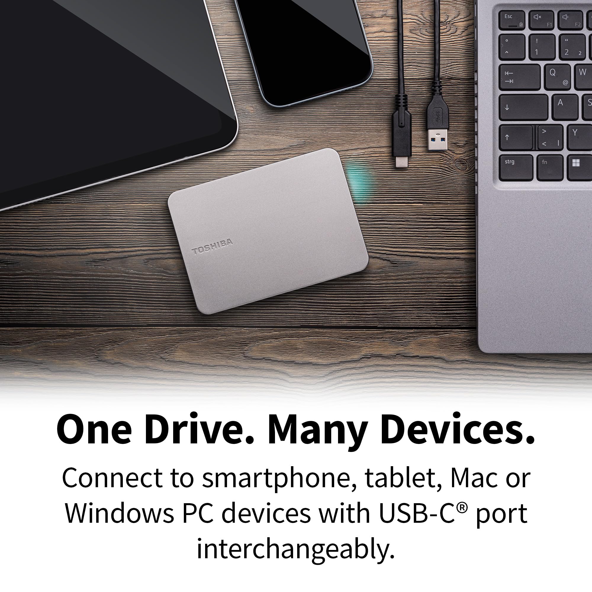 TOSHIBA Canvio Flex 4TB Portable External Hard Drive (HDD) for Mac, Windows PC, Smartphone and Tablet, Compatible with Most USB-C and USB-A Devices, Warm Silver (HDTX240ESCCA)