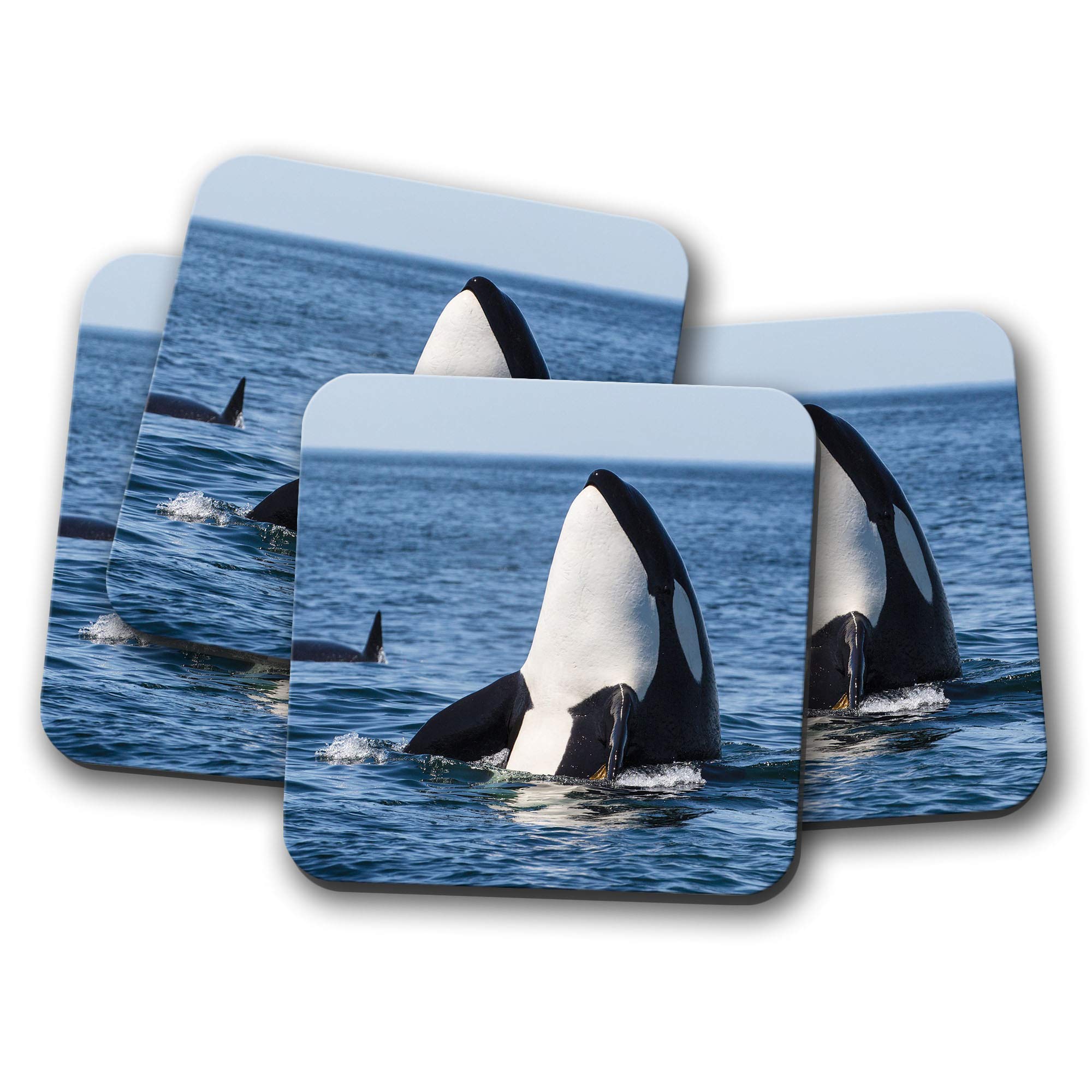4 Set - Orca Whale Coaster - Killer Whales Marine Ocean Sea #14212