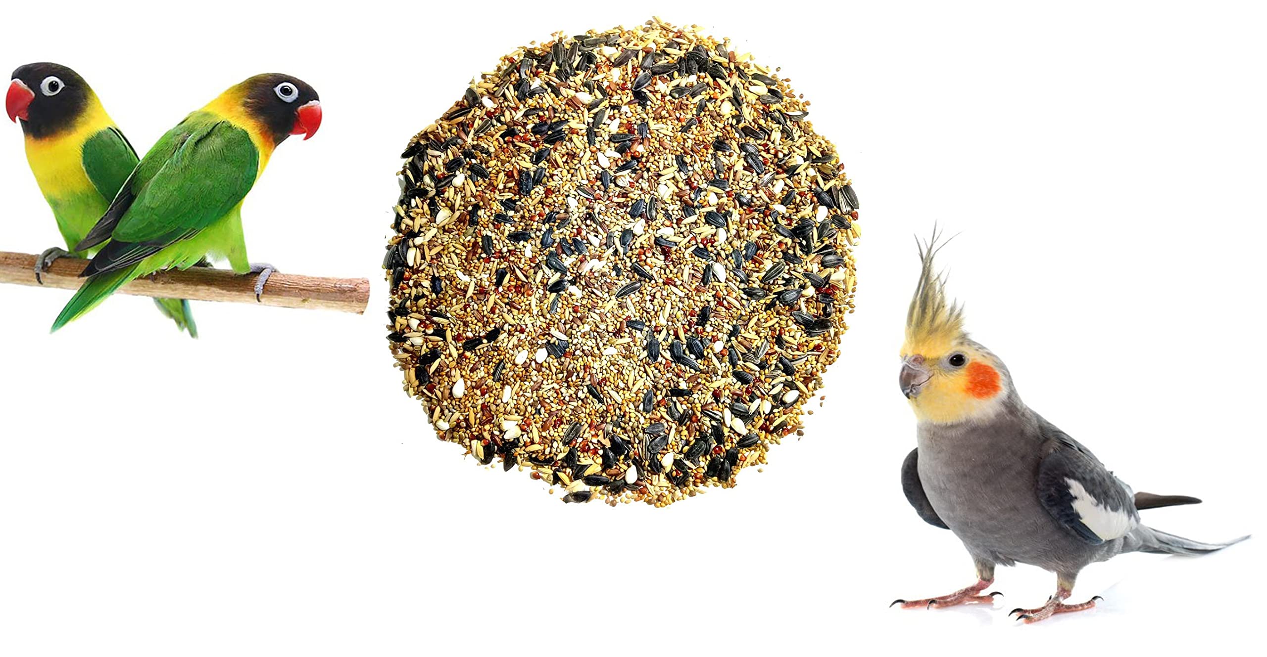 GLOBAL GREEN - 10 Type of Bird Seeds Special Mixed Best for Breeding Period (2 kg Pack) use for Cocktail, Love Birds, Macao and Parrot Birds, 100% Organic (B09N7GL29K) Amazon Price History, Amazon Price Tracker