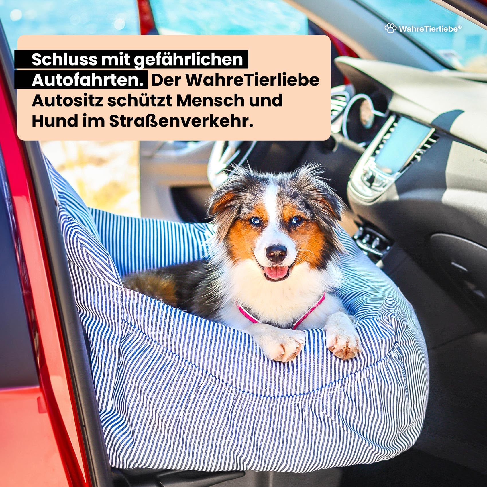 Wahre Tierliebe® - Hunde Autositz inkl. Sicherheitsgurt - waschbarer Hundesitz Auto in schwarz/weiß für kleine, mittlere & große Hunde I Autositz Hund, Hundeautositz, Hund Auto, Hundebox Hundekorb