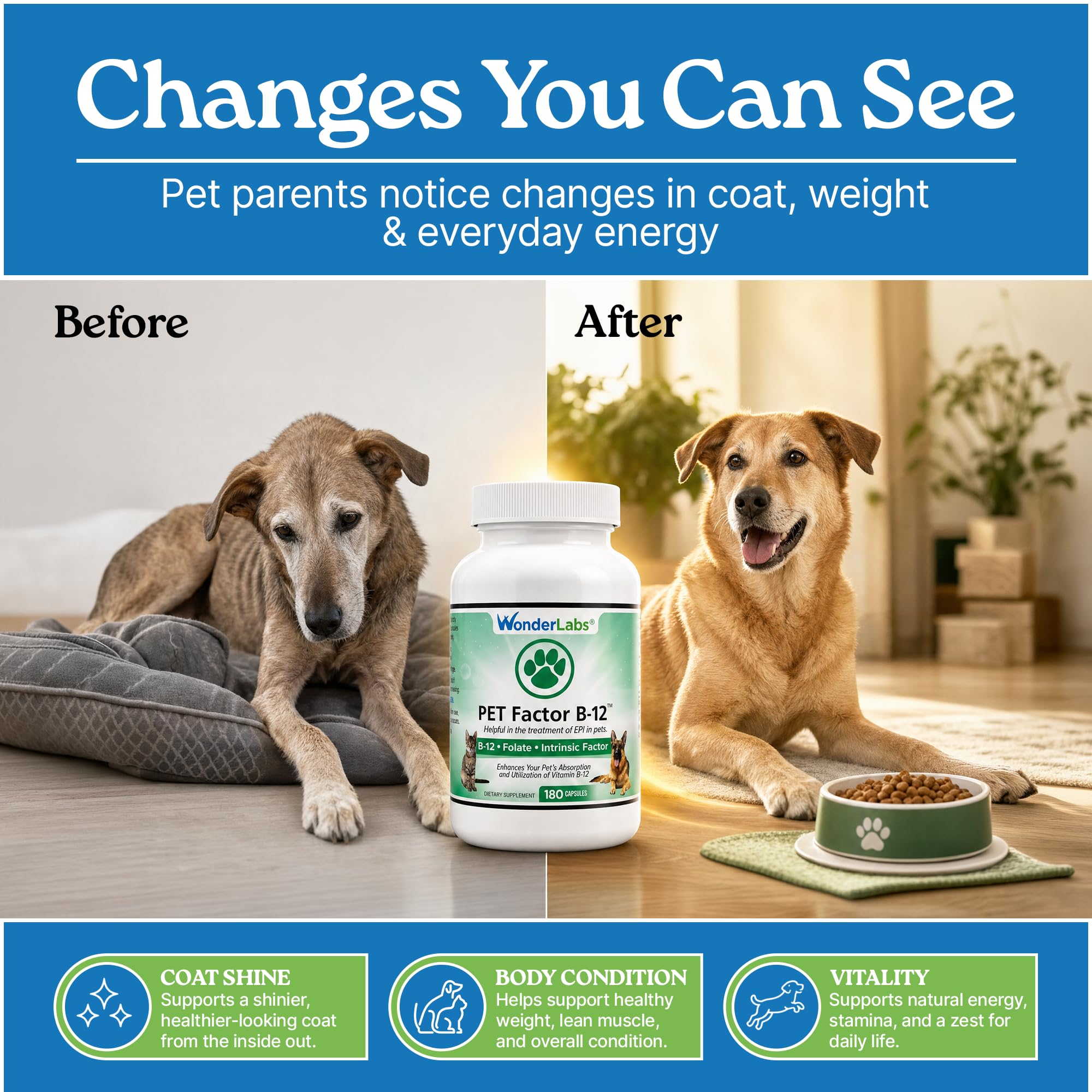 Wonder Laboratories Vitamin B12 - Methylcobalamin Dog Supplement, 180 Caps — Amazon image 4