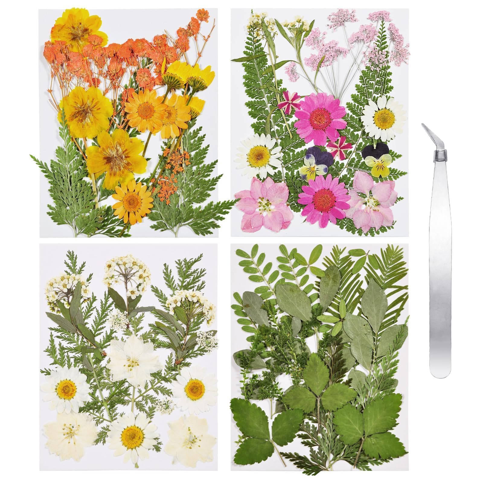 Dried Flowers for Resin