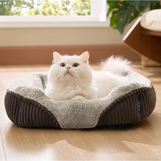 Bedsure Washable Dog Bed Small Dog&Cat- Rectangle Fluffy Plush Kitten Puppy Bed, Comfy Corduroy Fleece and Nonskid Bottom,20x19x6inches,Suitable for Pet Up to 15lbs,Brown