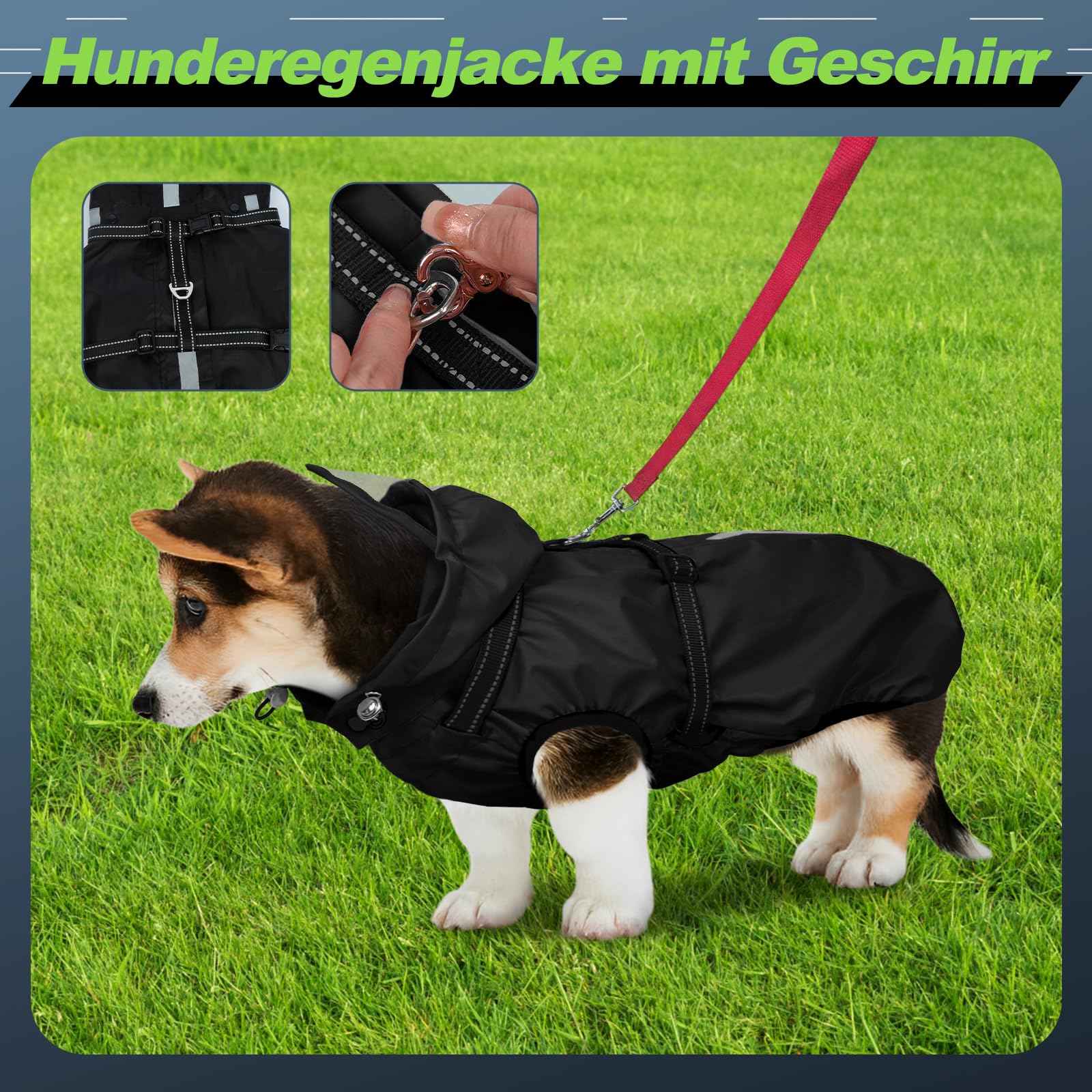 Hunderegenmantel wasserdicht, Regenjacke mit reflektierenden Streifen, H-Brustgeschirr (D-Ring) & Abnehmbarer Kapuze mit Visier, Ideal für mittelgroße/große Hunde [Schwarz, Größe M]