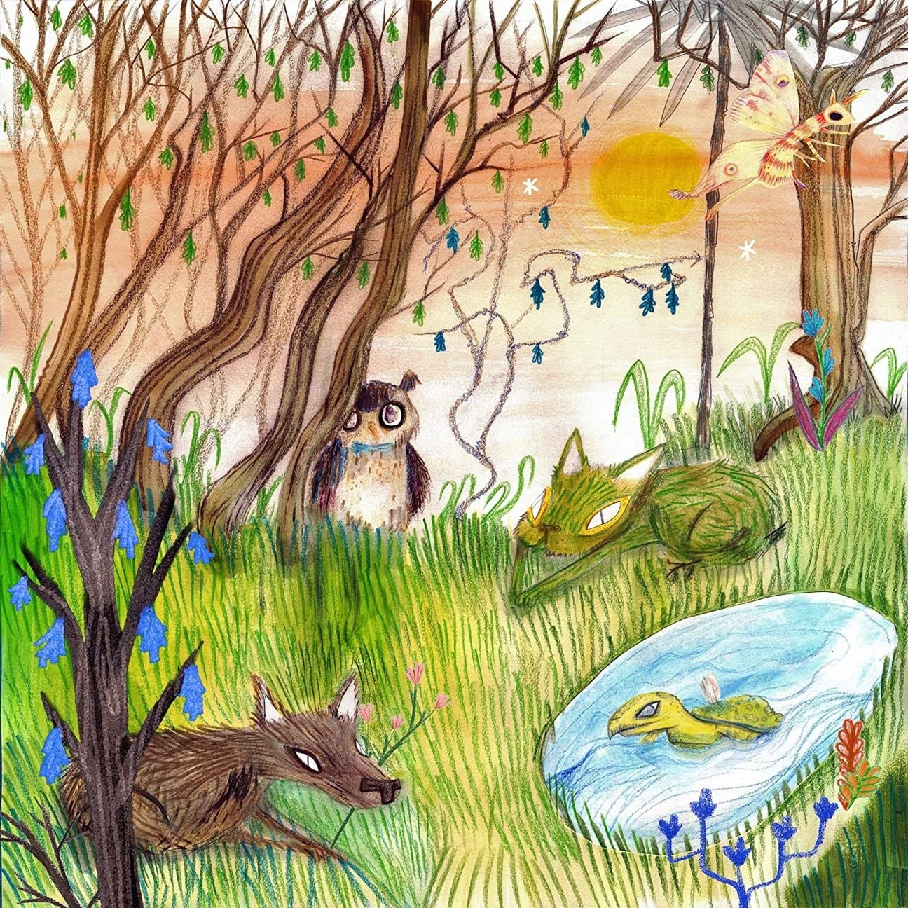 CAVETOWN - Animal Kingdom - limited gatefold clear vinyl LP + sticker sheets