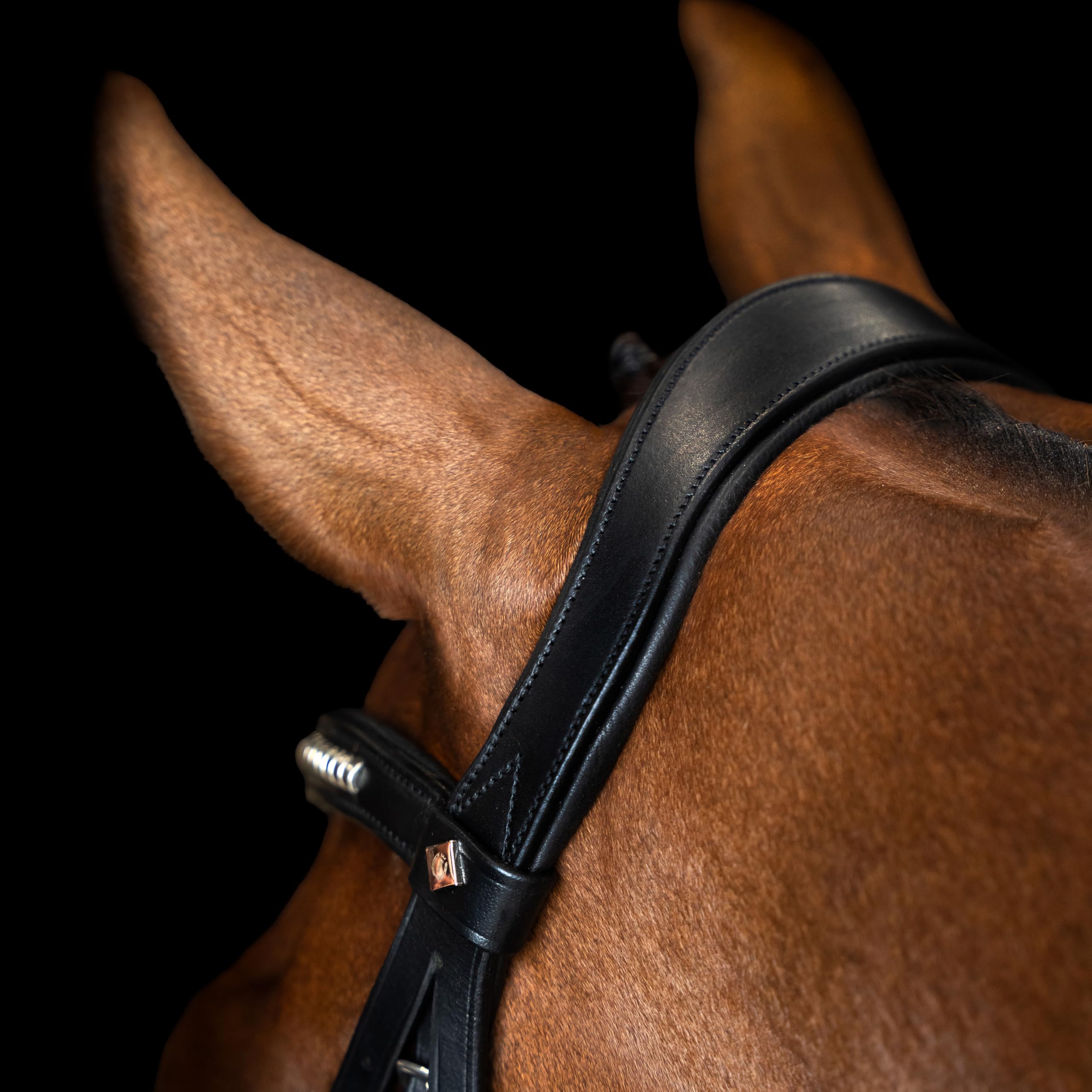 Imperial Riding Mexikanisches Zaumzeug IRH, Leder mit breitem Nasenband und gepolstertem Genickstück, Schwarz, Full