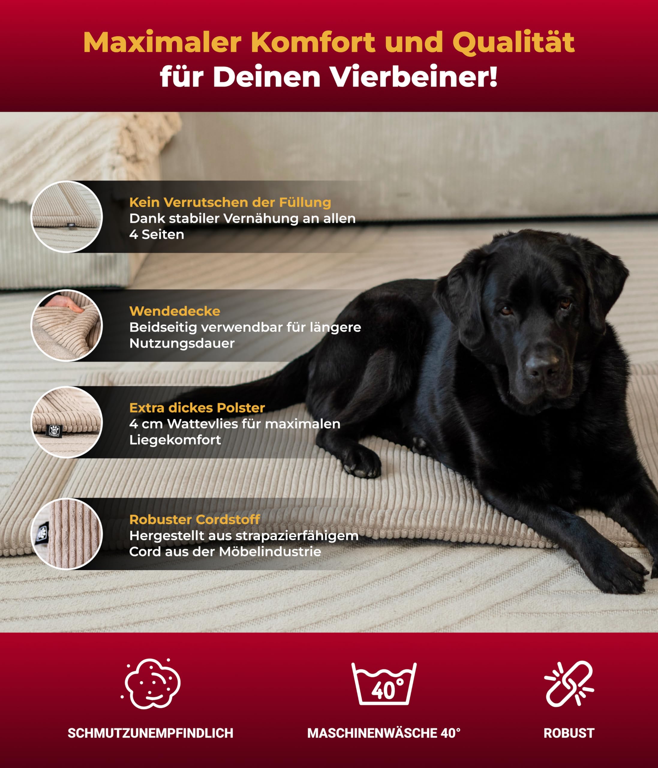 Hundedecke Cord mit Füllung L (75x115 cm) – Waschbare Wendedecke – Kuscheldecke für Hunde – Gemütlicher Ruheplatz – Beige, Made in DE
