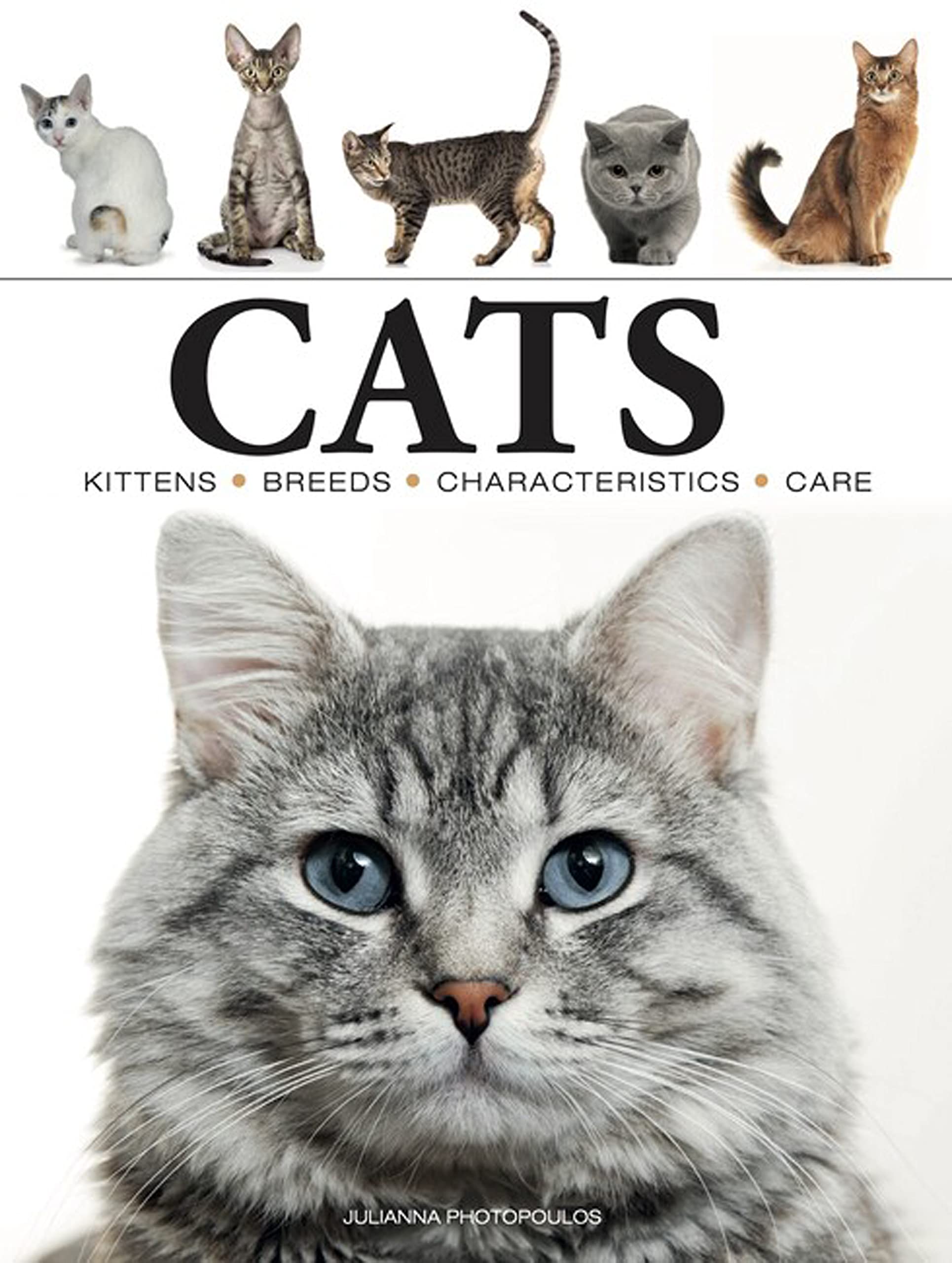 Cats (Mini Encyclopedias): Photopoulos, Julianna: 9781838862572