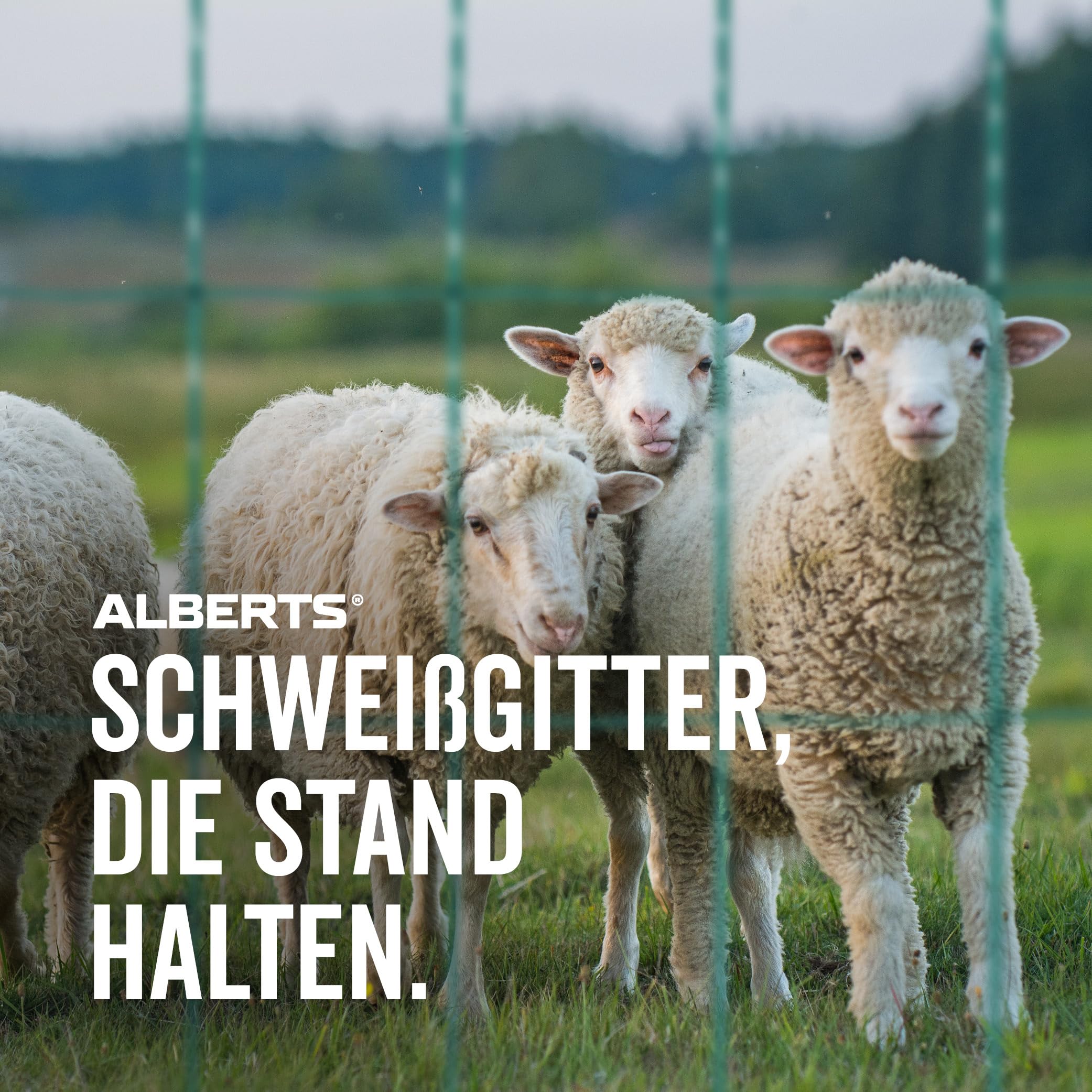 Alberts 604851 Schweißgitter Fix-Clip Pro® | verschiedene Längen und Höhen - wahlweise in verschiedenen Farben | grün | Höhe 122 cm | Länge 25 m