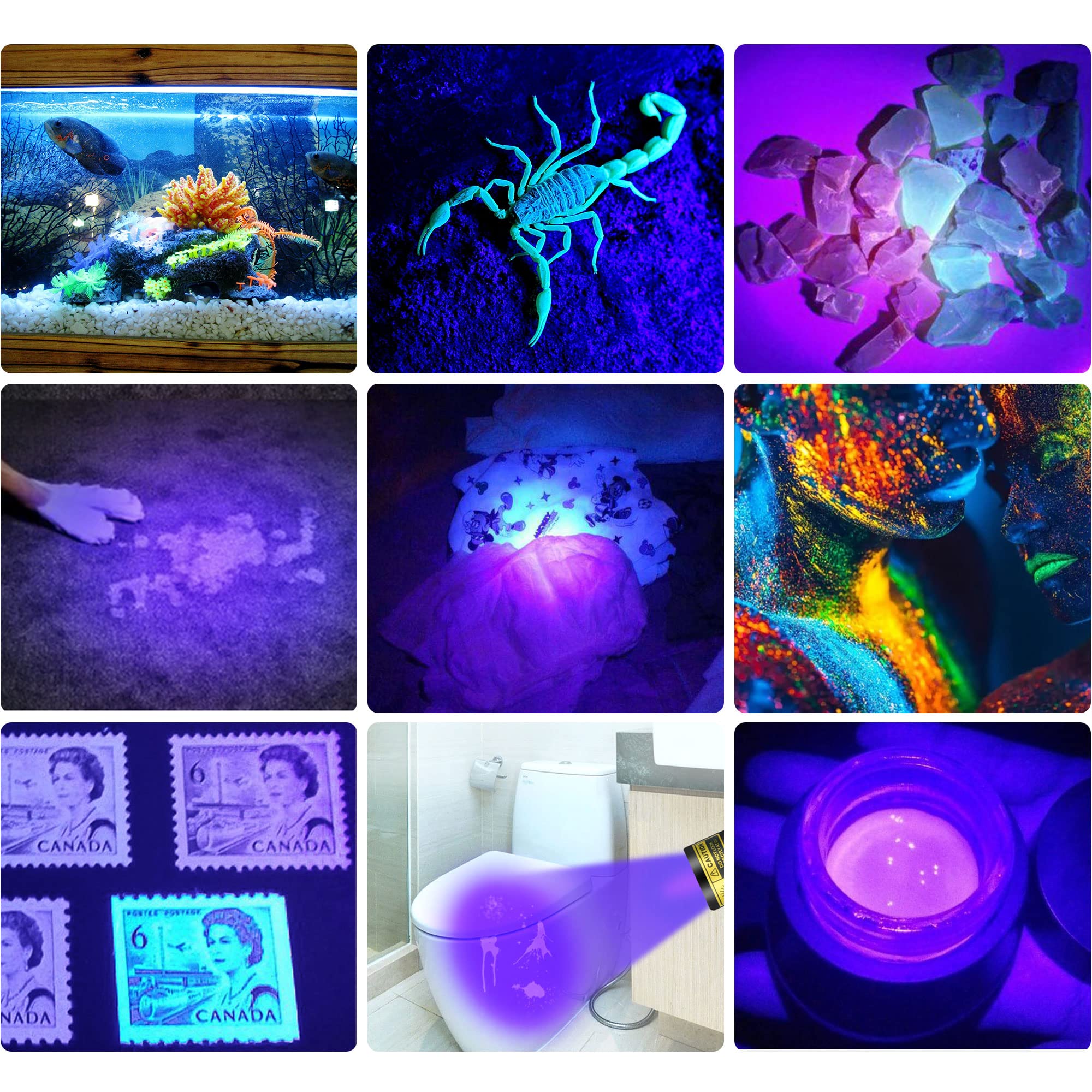 DARKBEAM Linterna UV Recargable 395nm, Mini Linterna Luz Negra Ultravioleta Potente LED, Lámpara de Madera Portátil, Detector de Orina para Mascotas, Curado de Resina, Minerales, con gafas UV