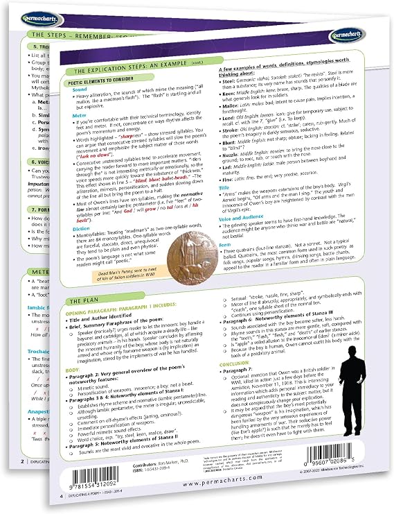Explicating a Poem - Literature Quick Reference Guide by Permacharts
