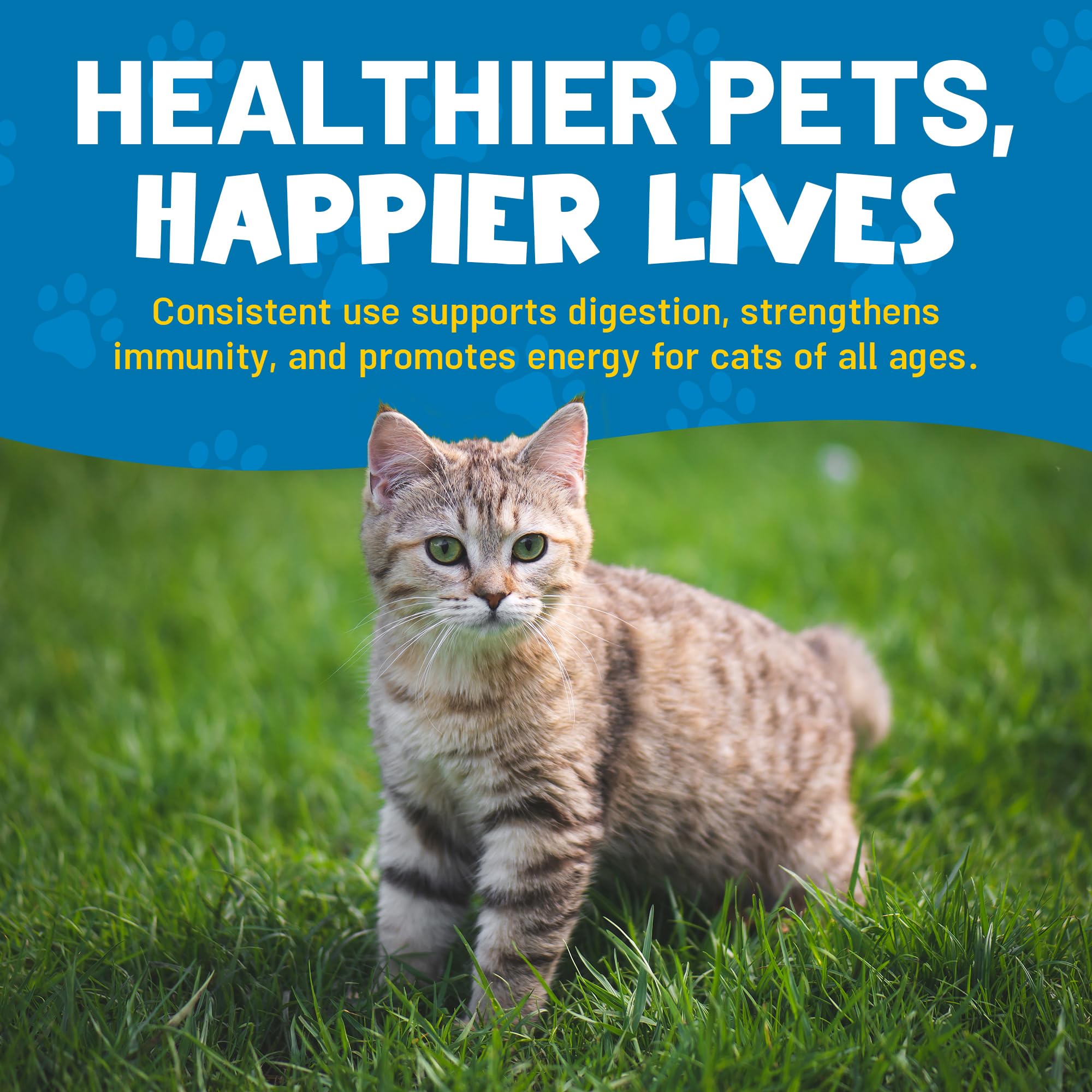 Guardian’s Choice Purrbiotics, Cat Probiotic Powder for Digestive & Immune Support, 5 Billion CFU with Prebiotics & Fiber, Shelf-Stable Probiotics for Cats, Chicken Flavor Cat Probiotics, 120 Servings - image 7