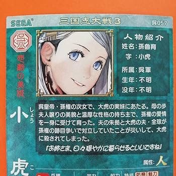 三国志大戦1〜3 写真のものプラスR、UC、C 三国志大戦1〜3 写真のものプラスR、UC、C