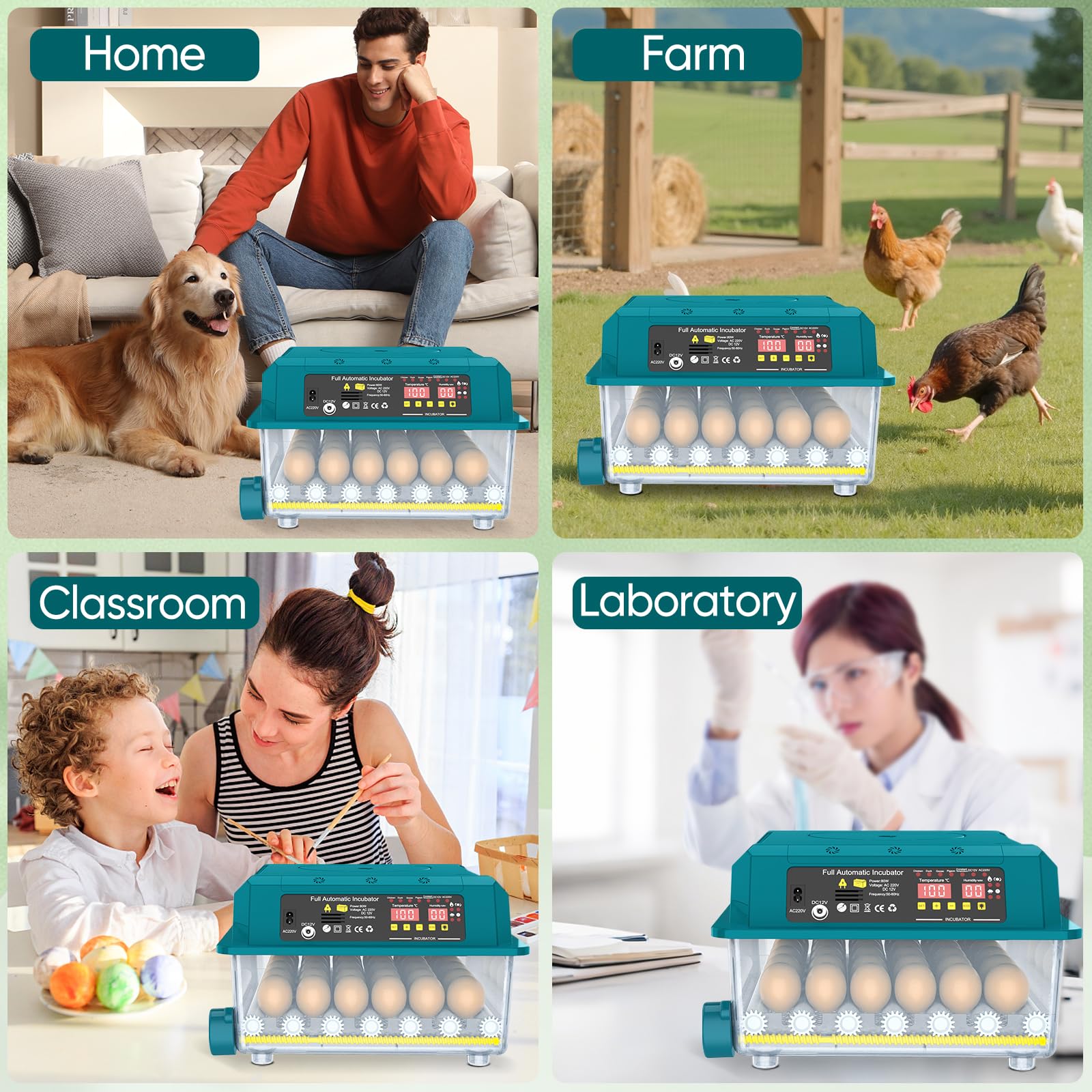 Incubadora automática de huevos de 36 huevos,Incubadora automática de huevos con volteo automático de huevos, control de temperatura y humedad, incubadoras para Eclosión de Pollo, Cana (36 huevos)