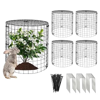 5 Packs Garden Plant Protectors from Animals,Metal Plant Cage Chicken Wire Cloche with Ground Stakes and Nylon Tie,Garden Plant Protectors for Flower Vegetable to Keep Animals Out-11.8"x 12.6" - Amazon product rated Grade A